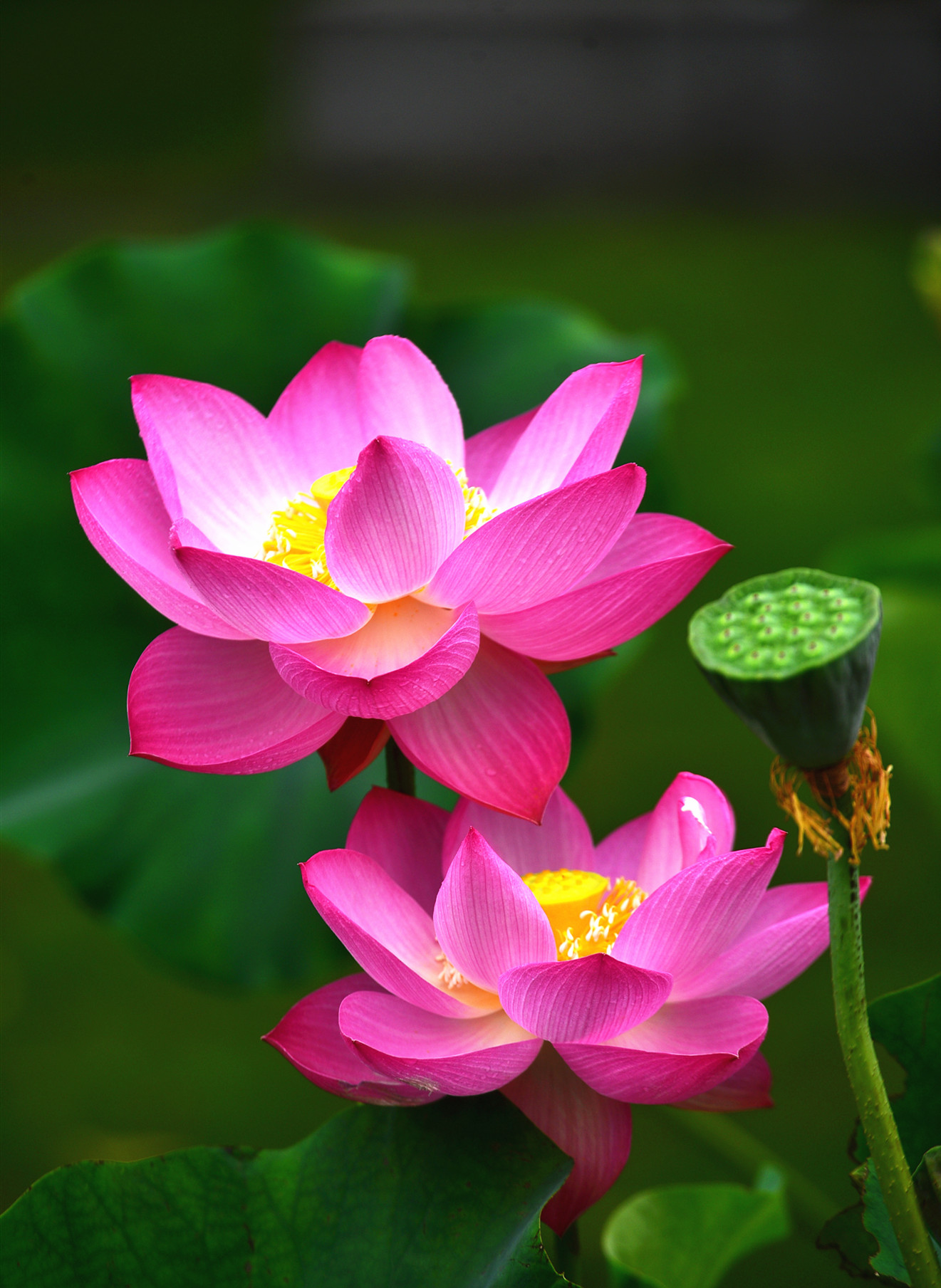 DSC_3379 n2.jpg