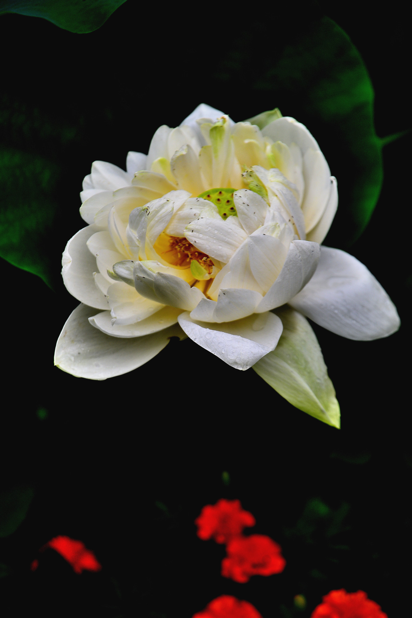 DSC_3386 n 2.jpg