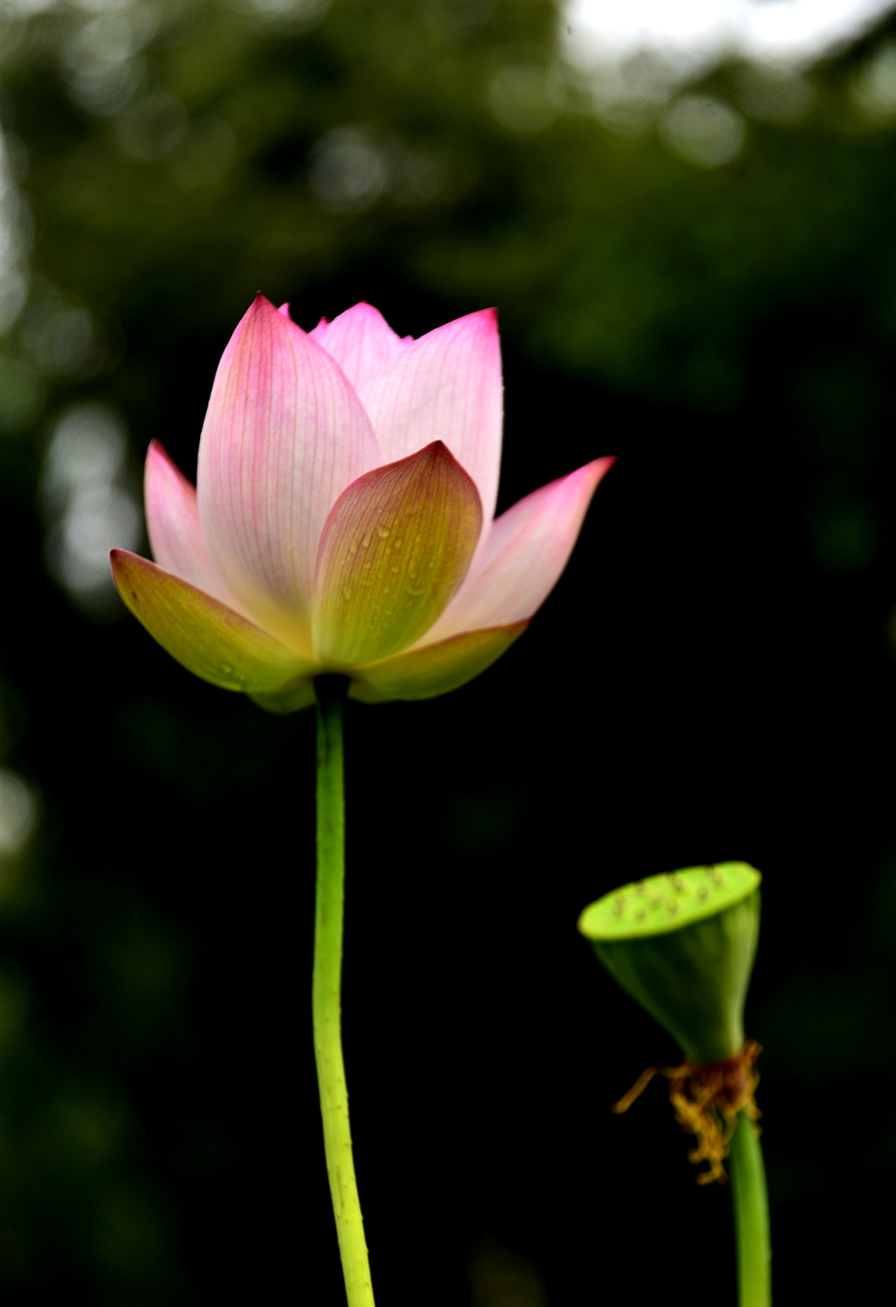 DSC_3369 n2.jpg