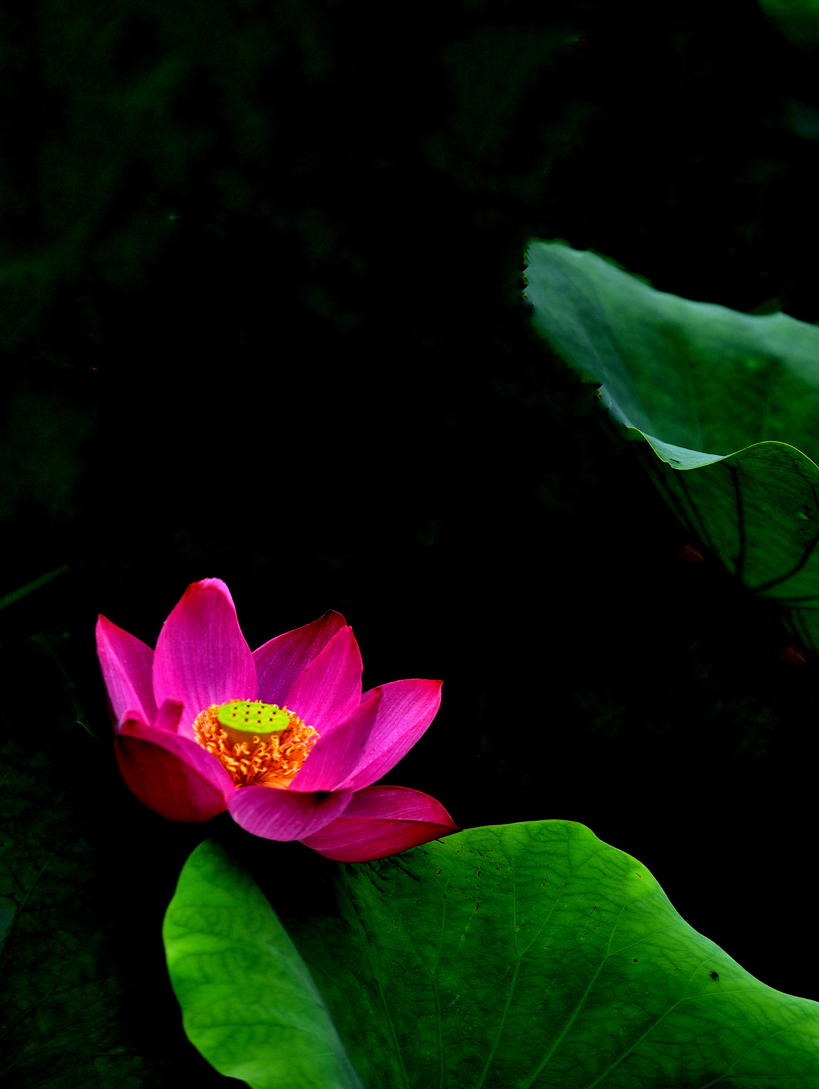 DSC_3404 n 2.jpg