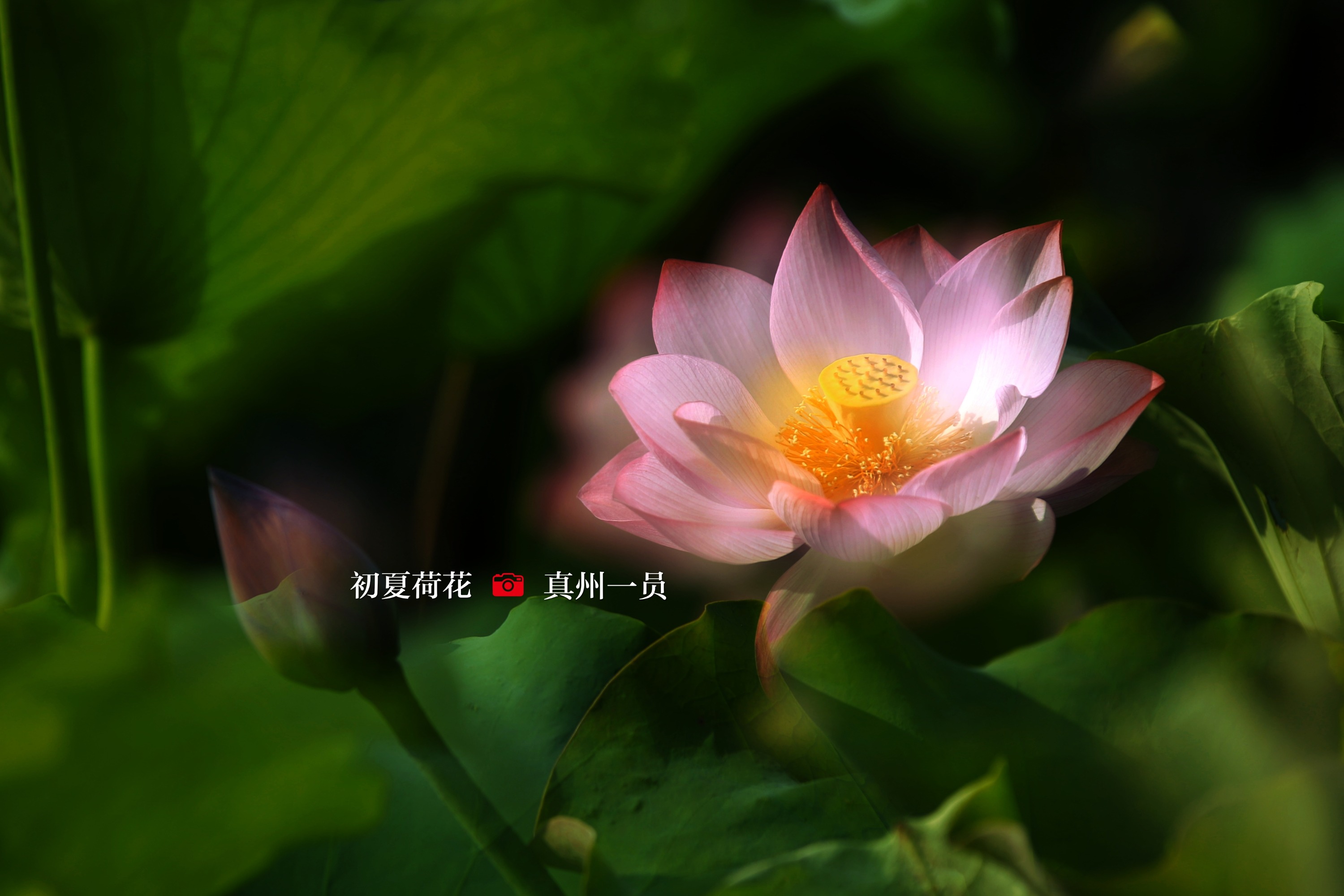 _MG_1134_mix02.jpg
