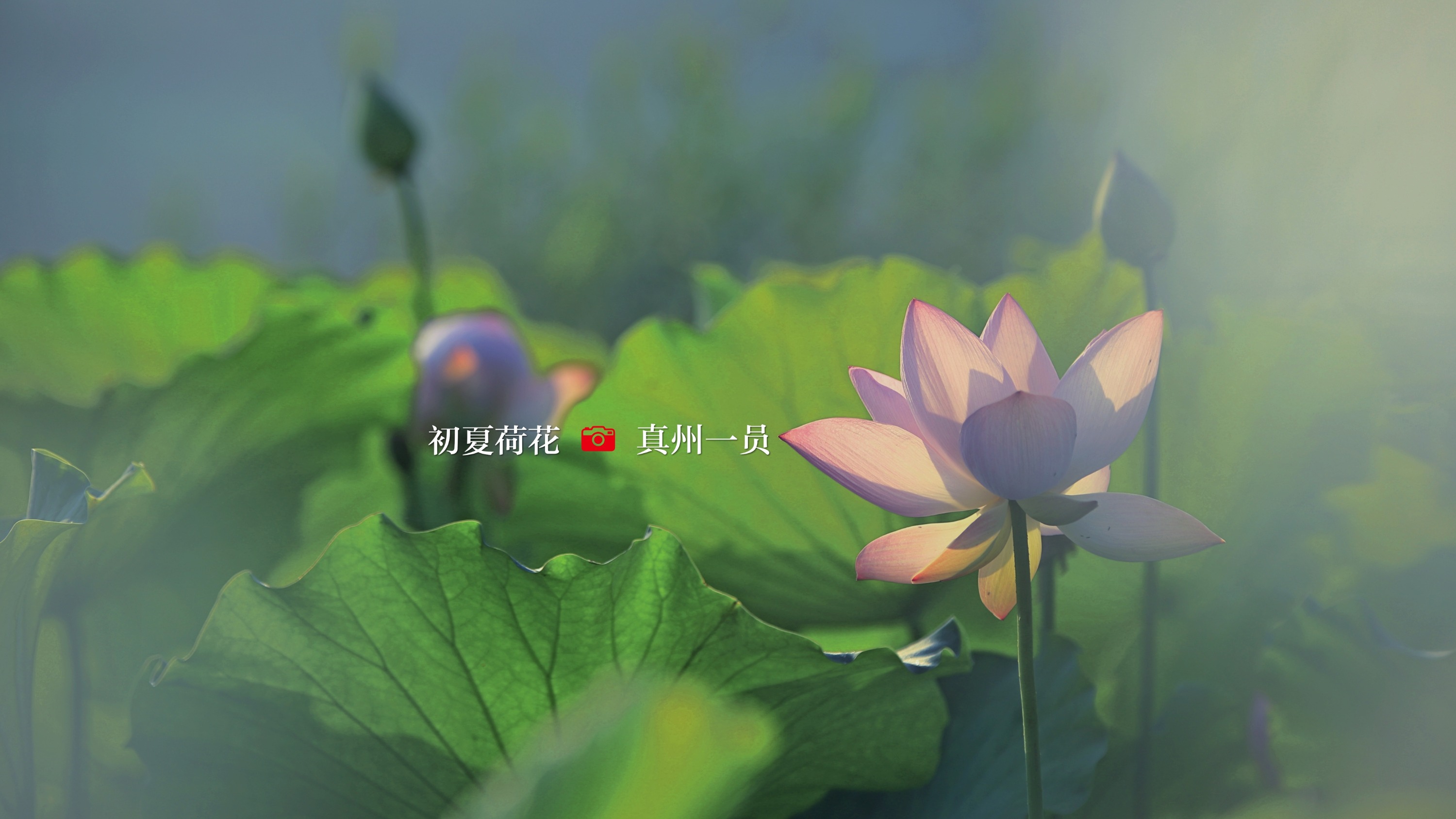 _MG_1134_mix02.jpg