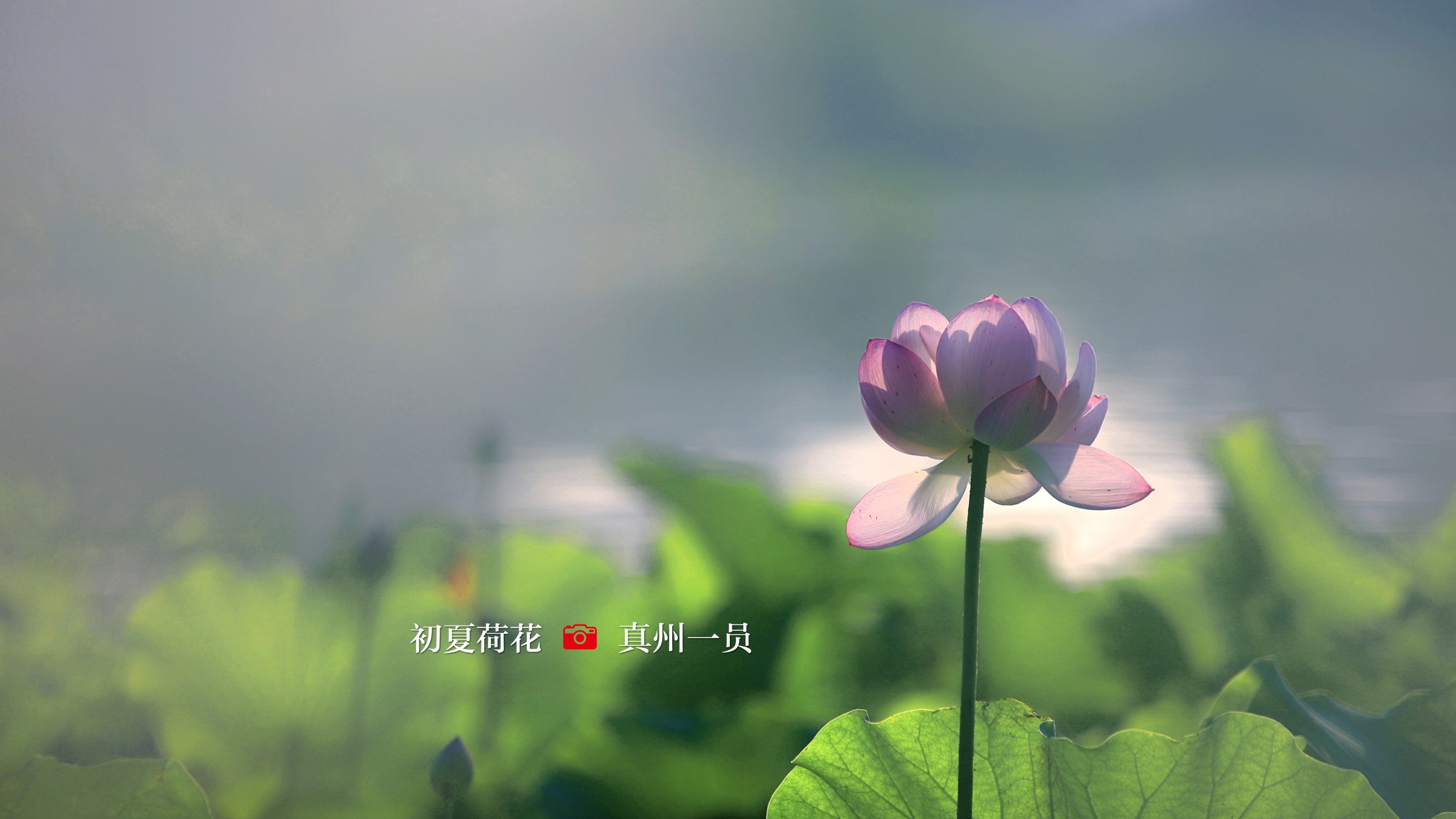 _MG_1134_mix02.jpg