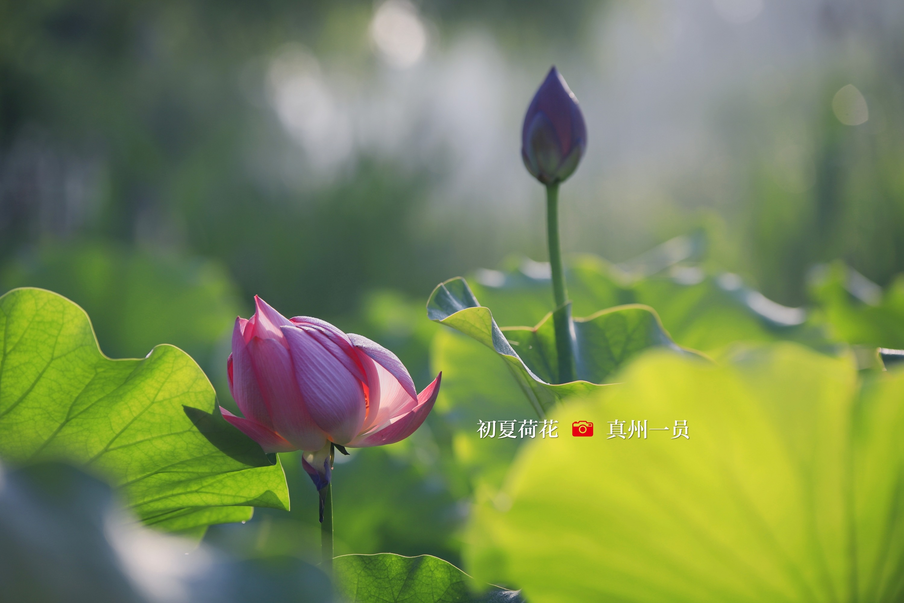 _MG_1134_mix02.jpg