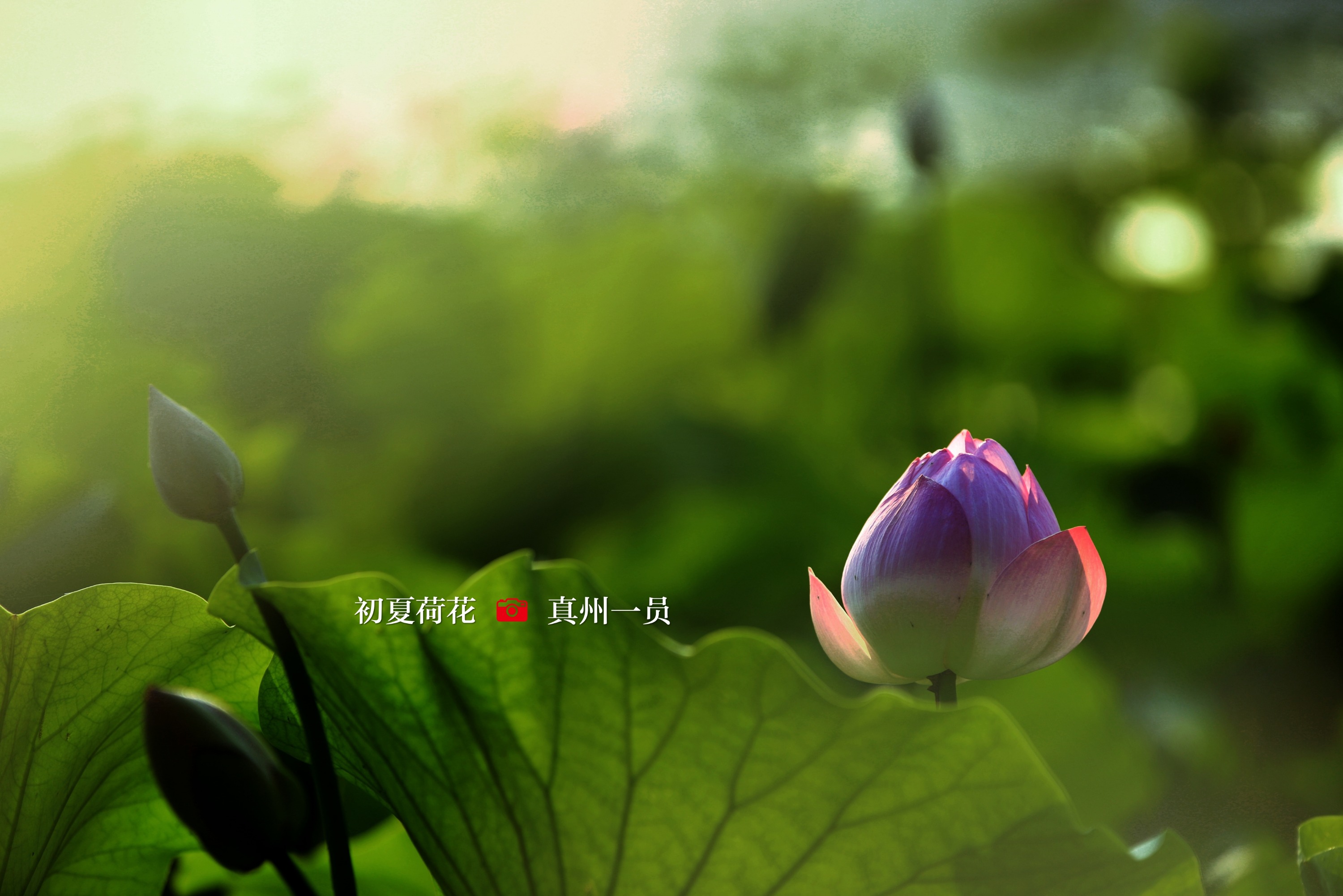 _MG_1134_mix02.jpg