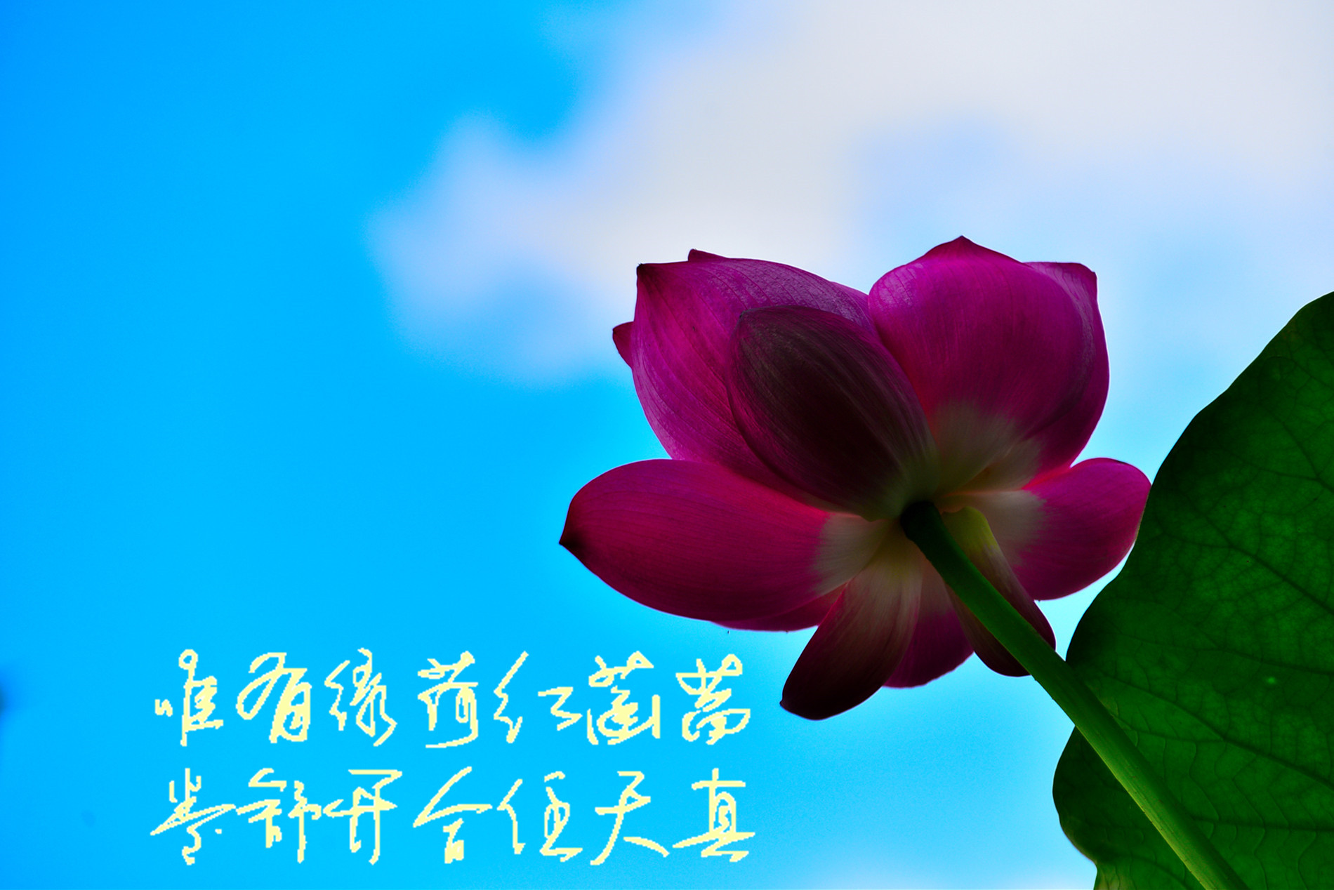 DSC_3542 mt 2.jpg