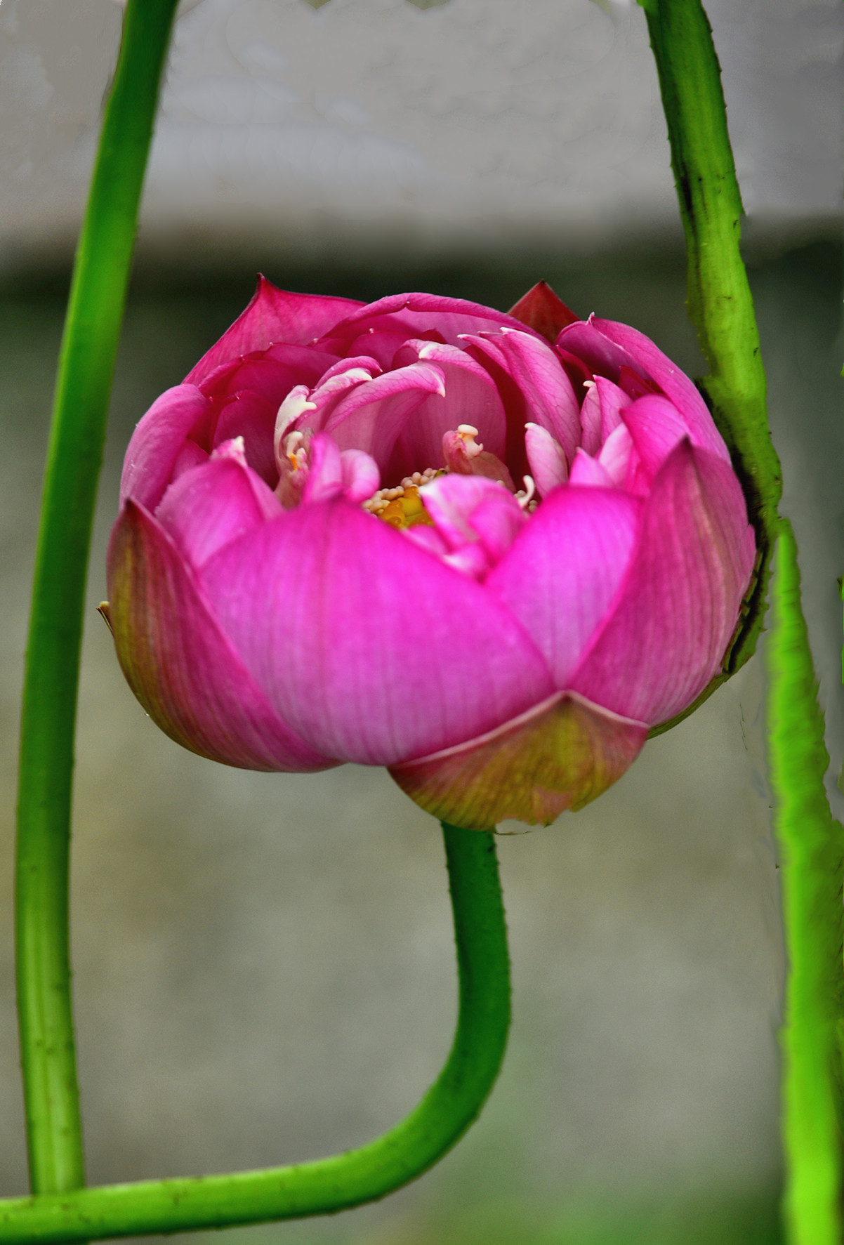 DSC_3412 n 2.jpg