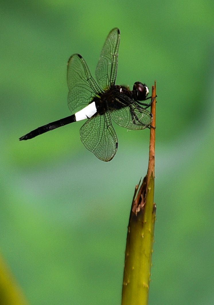 DSC_3570 n23_副本.jpg