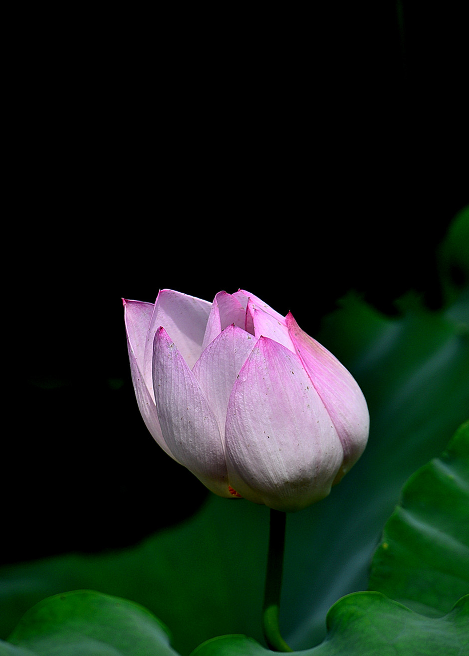 DSC_3574 n2.jpg