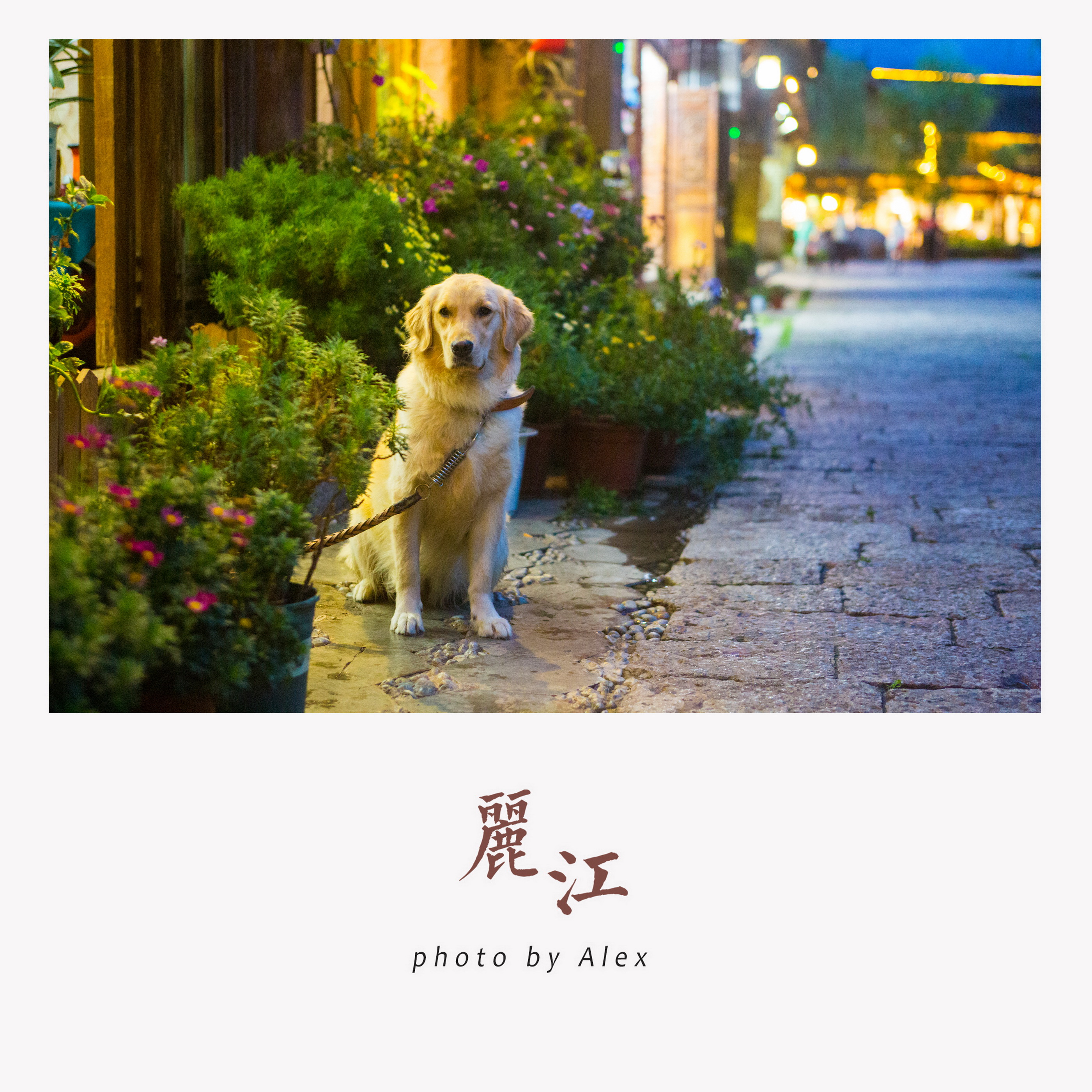 8_调整大小.jpg
