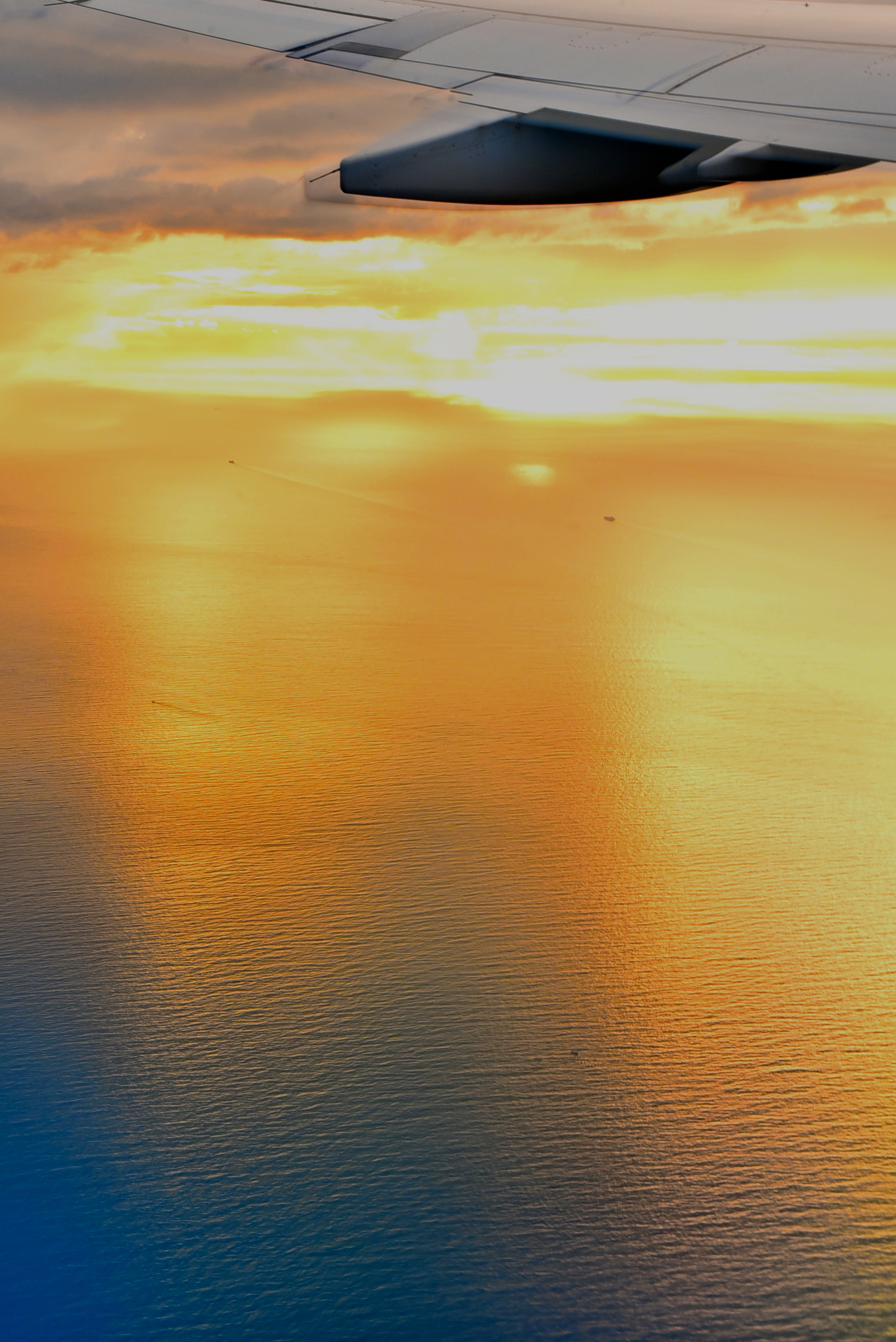 DSC_8390 n 2.JPG