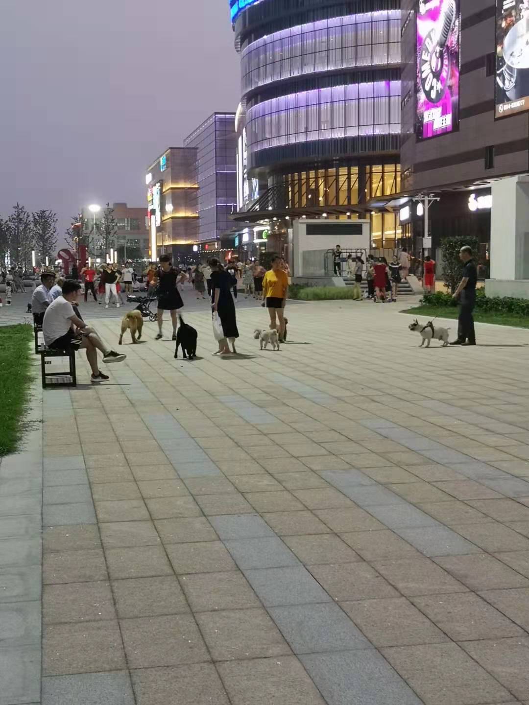 微信图片_20190722144932.jpg