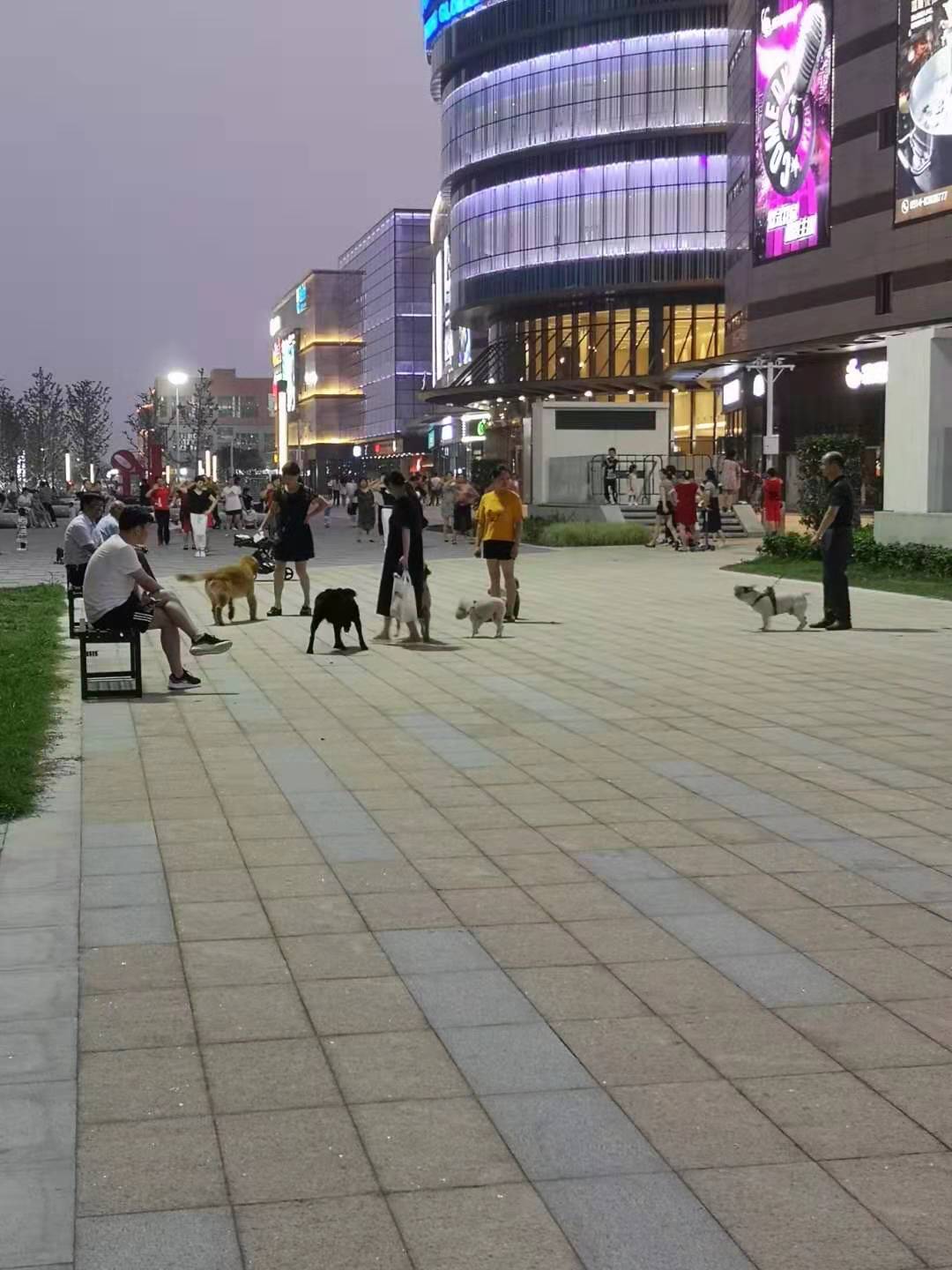 微信图片_20190722144921.jpg