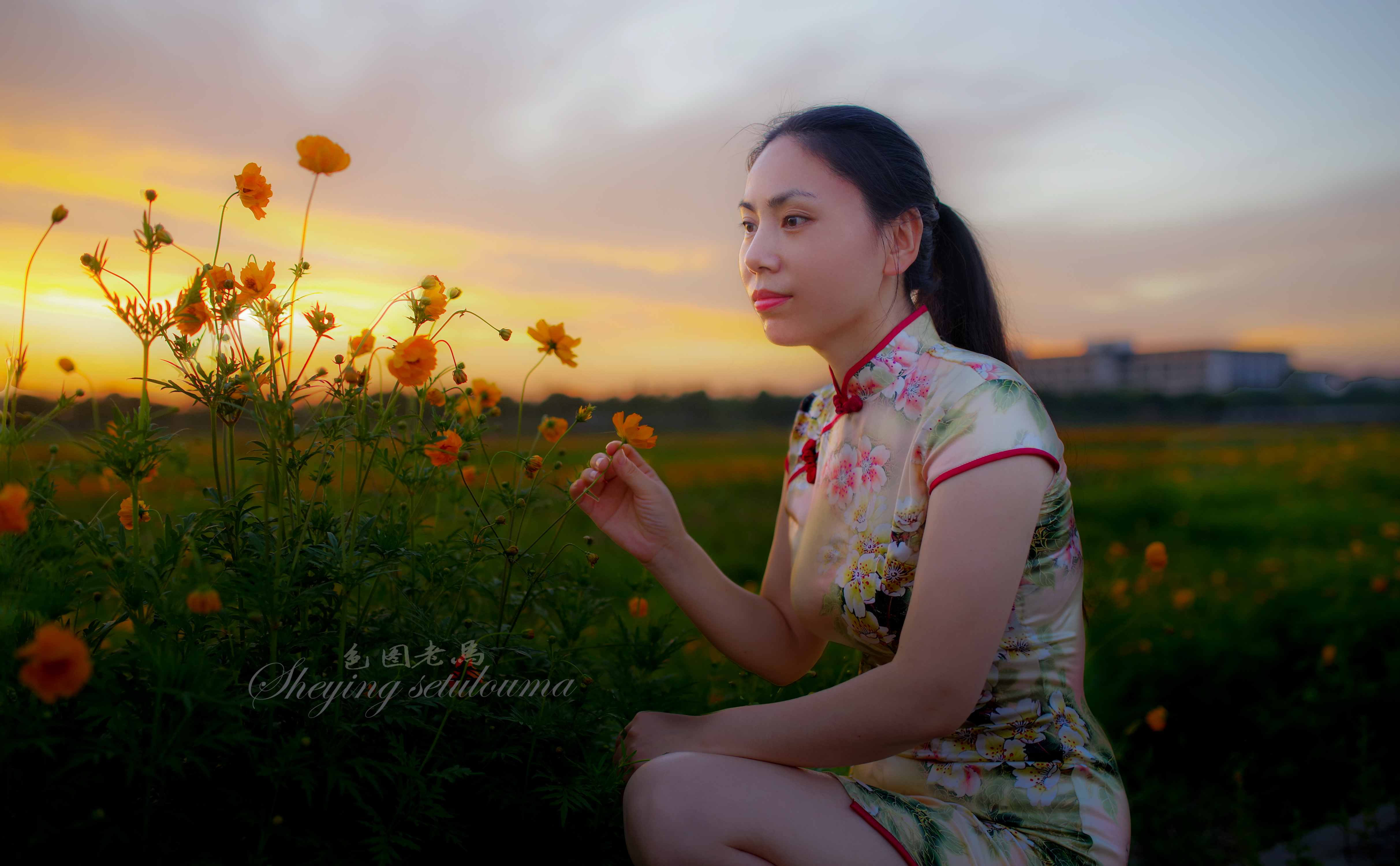 IMGP1257ccv.jpg