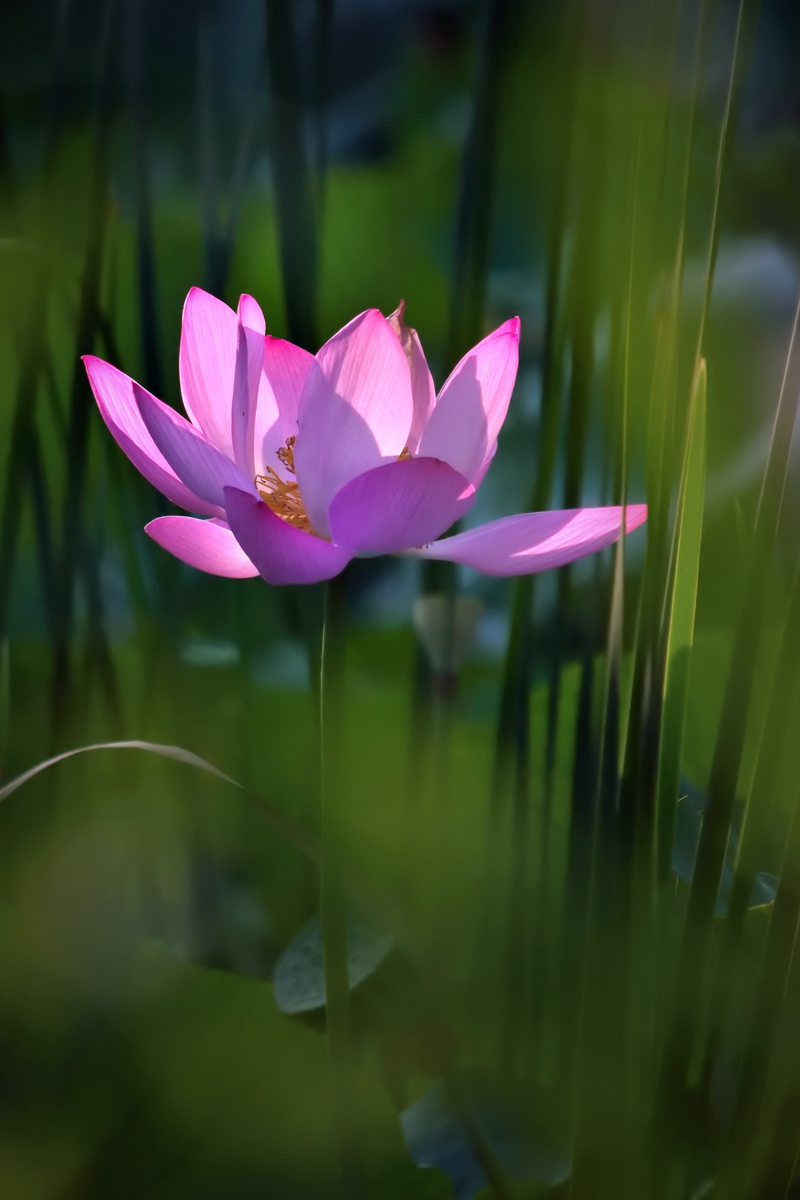 DSC_5945_副本_副本.jpg
