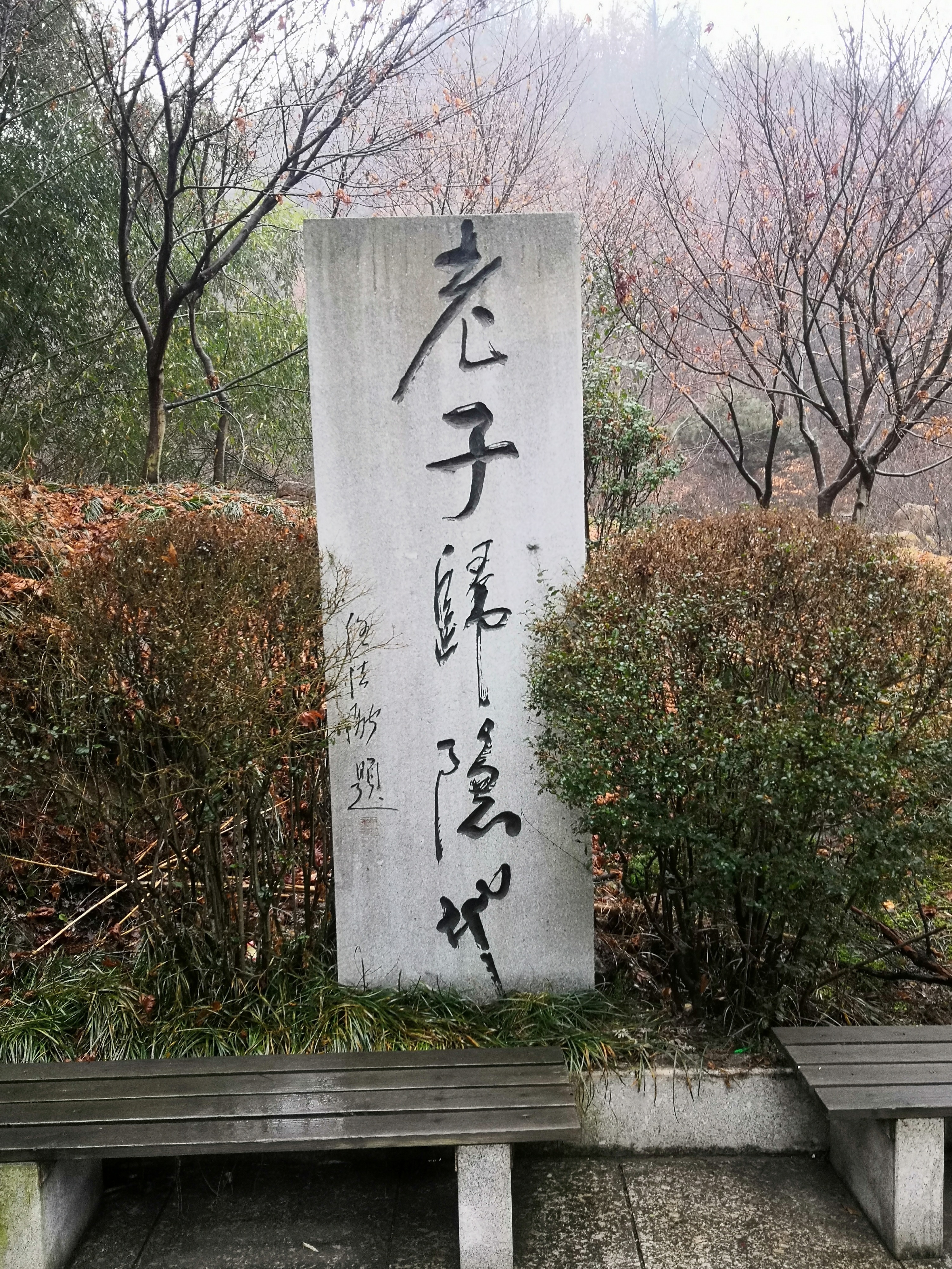IMG_20190227_083818.jpg