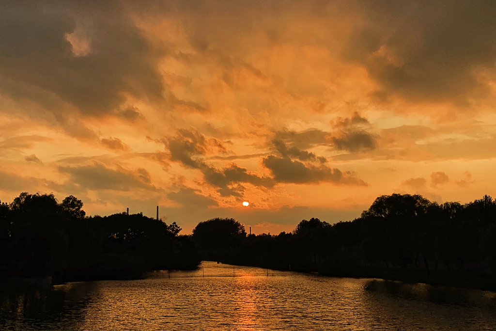 20190811_IMG_9638.JPG