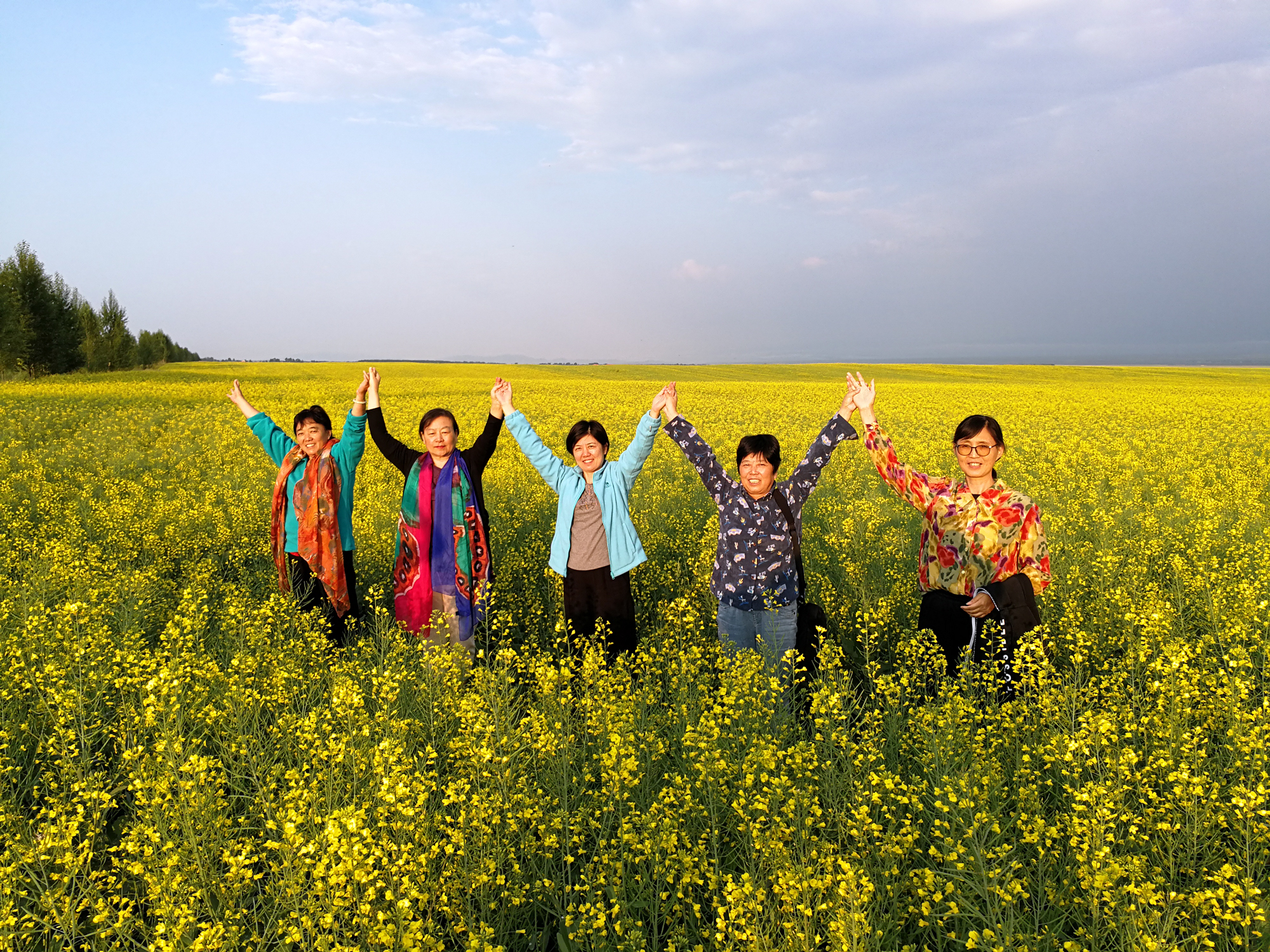 8-4昭苏油菜花.jpg