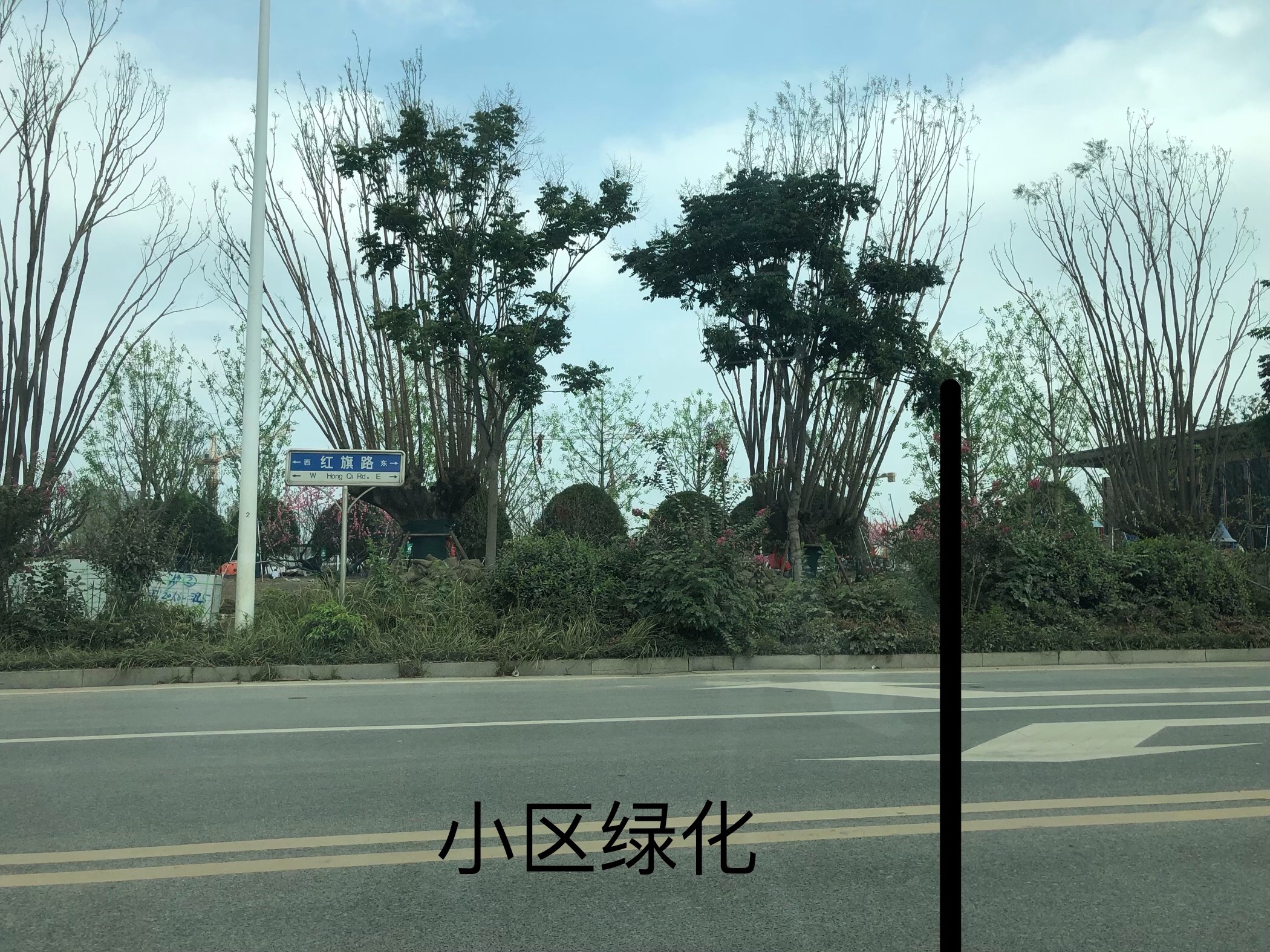 1D5A0893-C568-4E90-8806-4360820D5F45.jpeg
