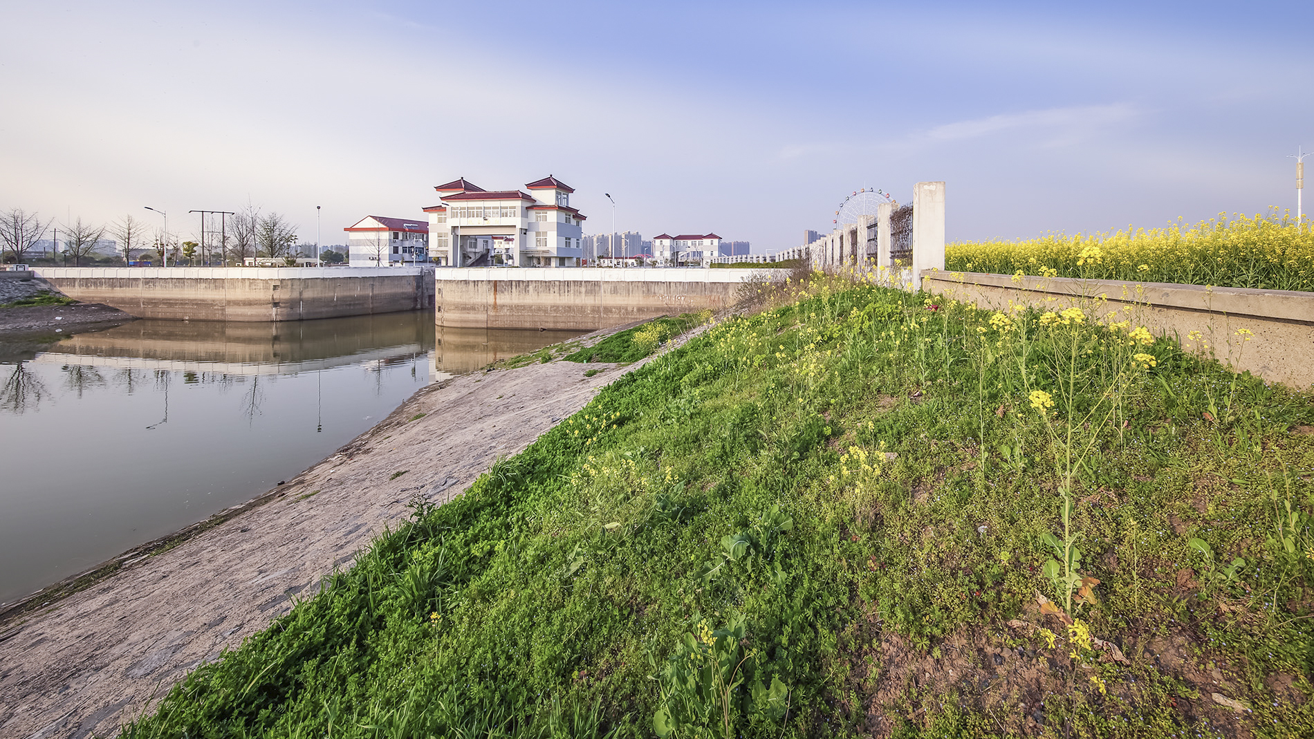 _MG_1725-1-1.jpg
