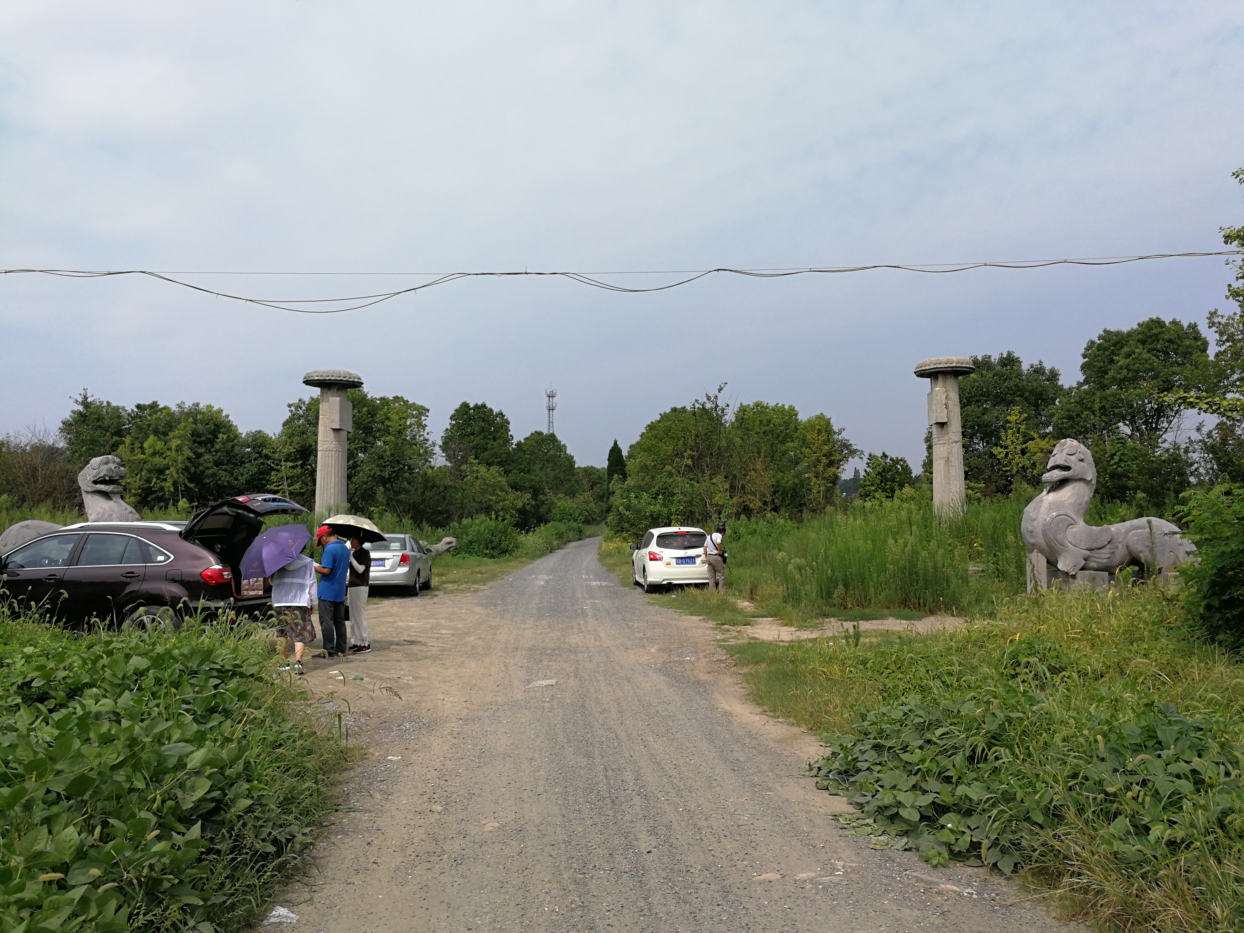 梁文帝神道对称全景.jpg