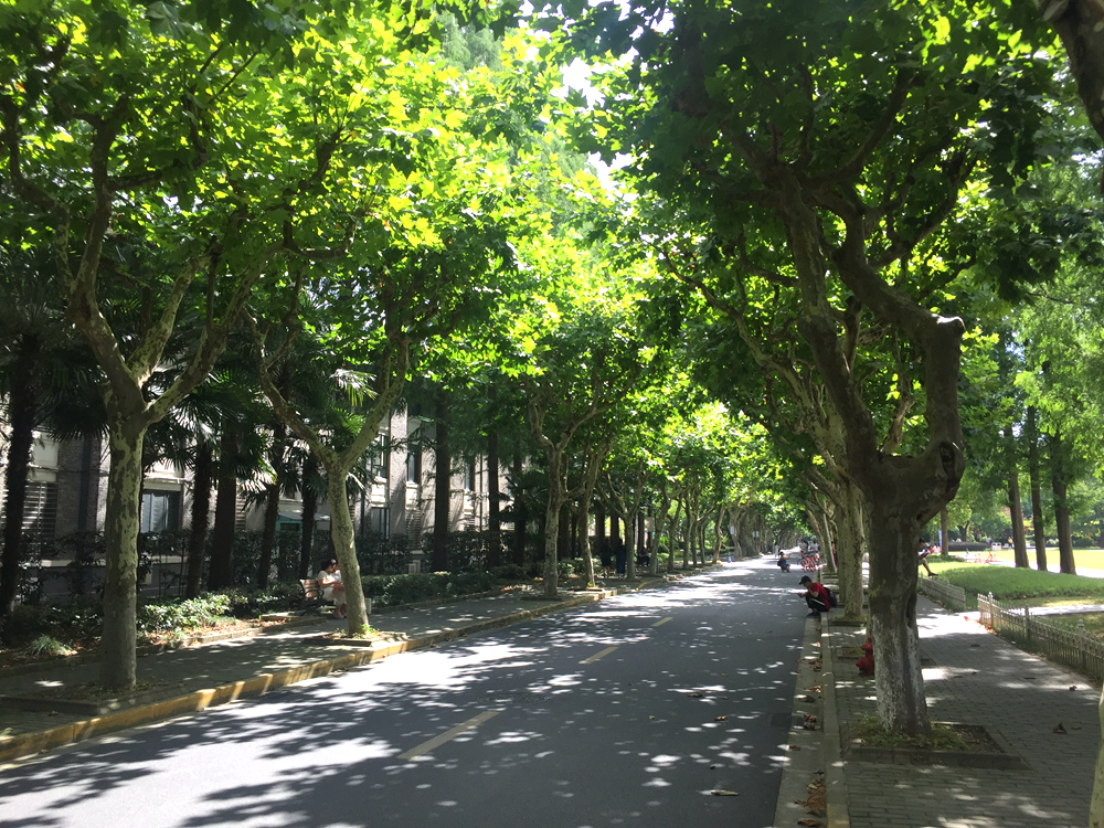 IMG_9724_副本.jpg