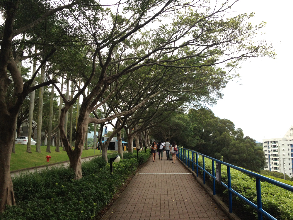 IMG_9876_副本.jpg
