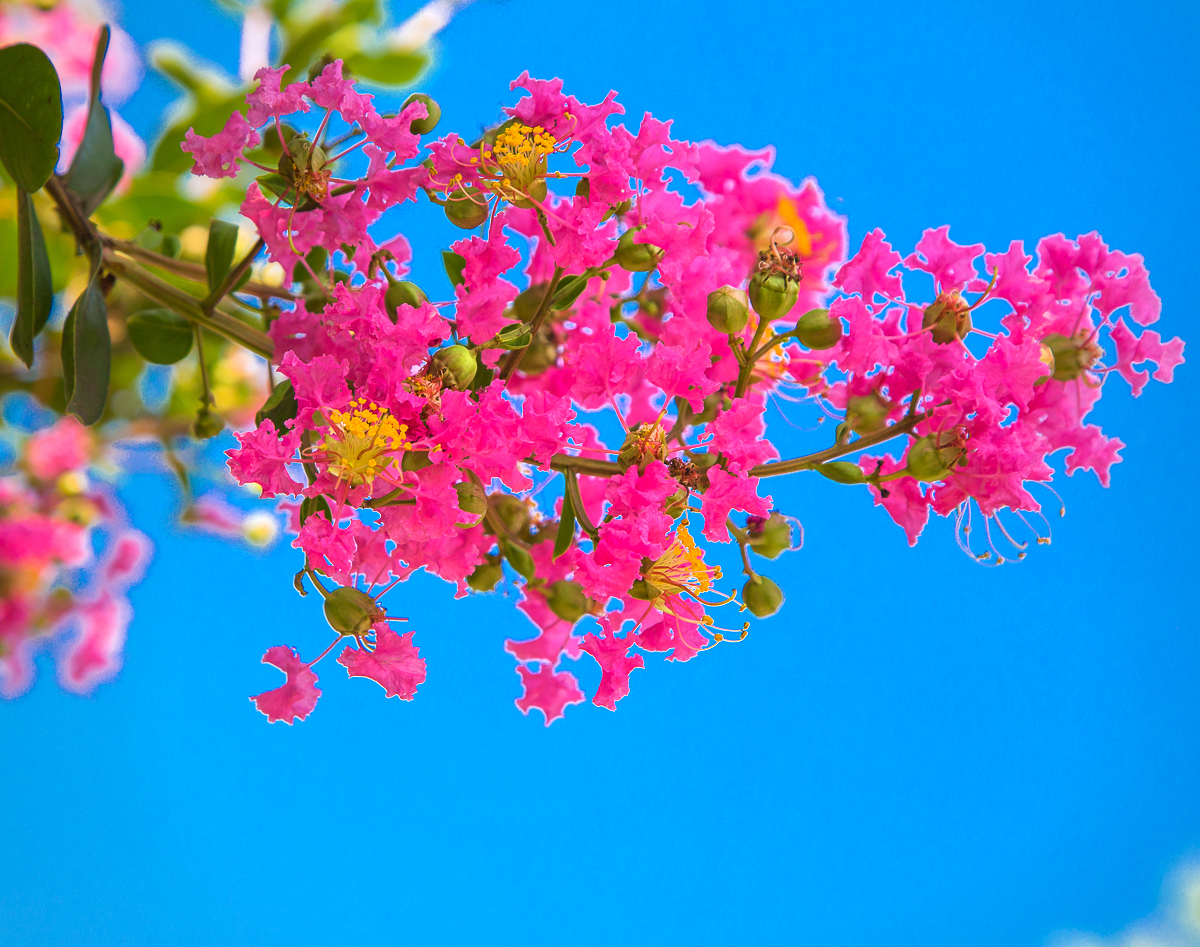 4G7A4366.jpg