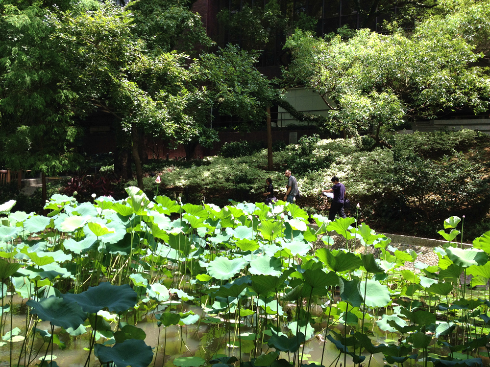 IMG_9562_副本.jpg