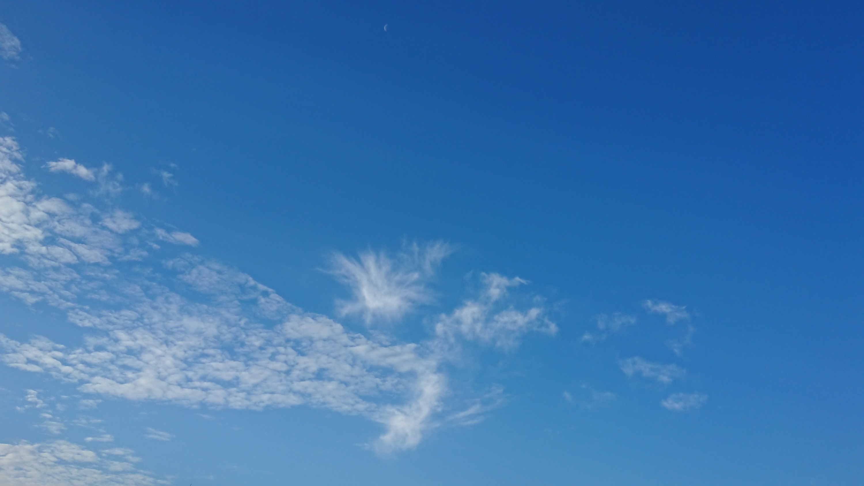 DSC_0938.JPG