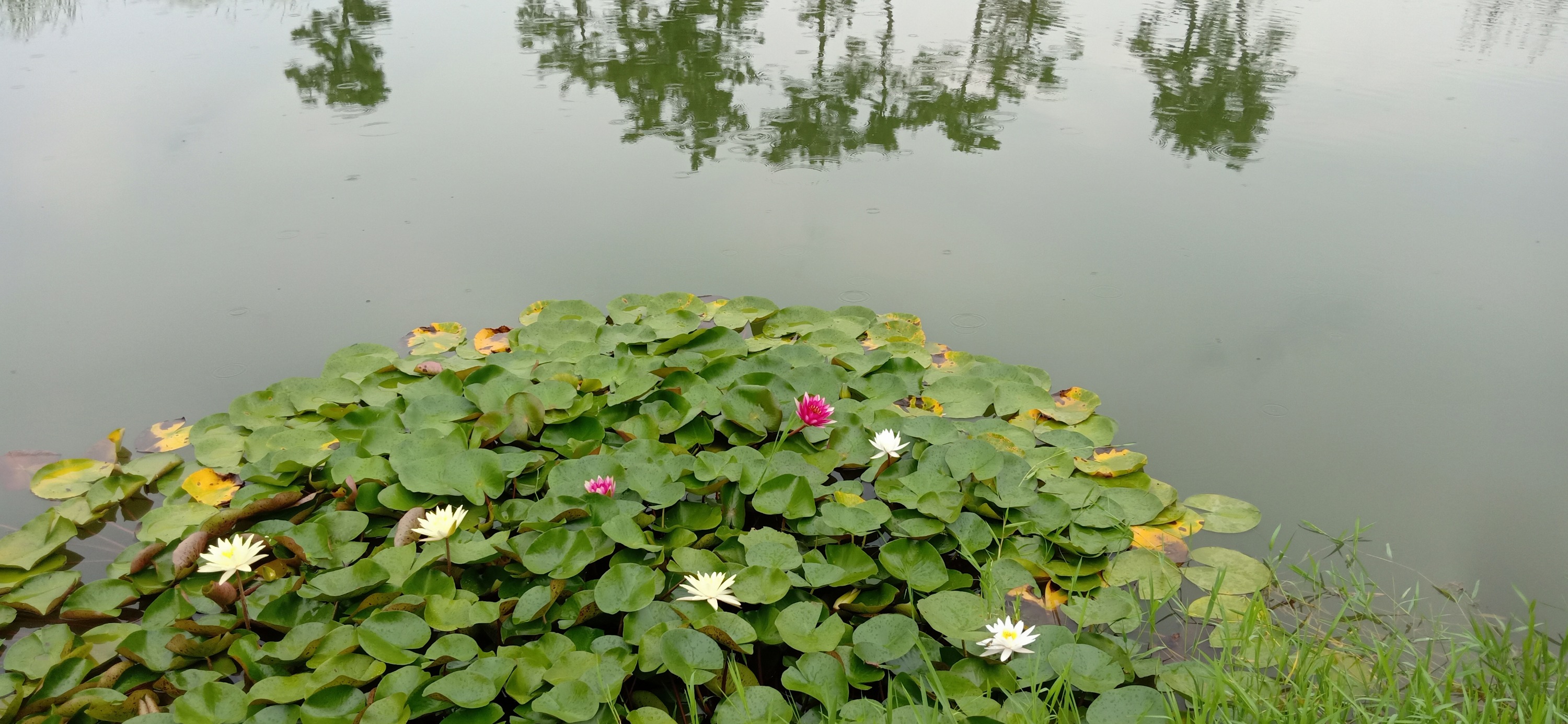 IMG20190901133253.jpg