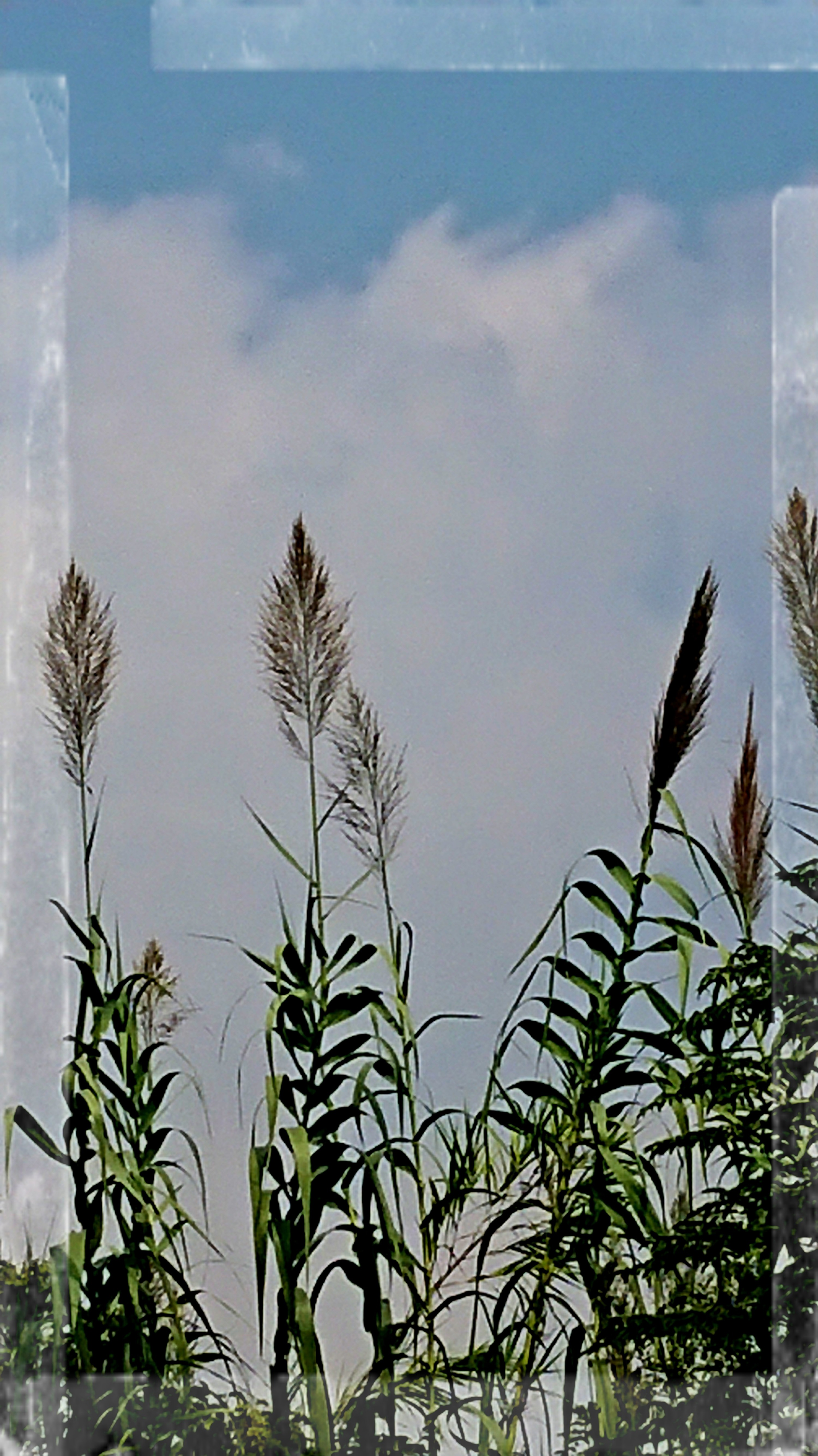 _20191004_121204.JPG