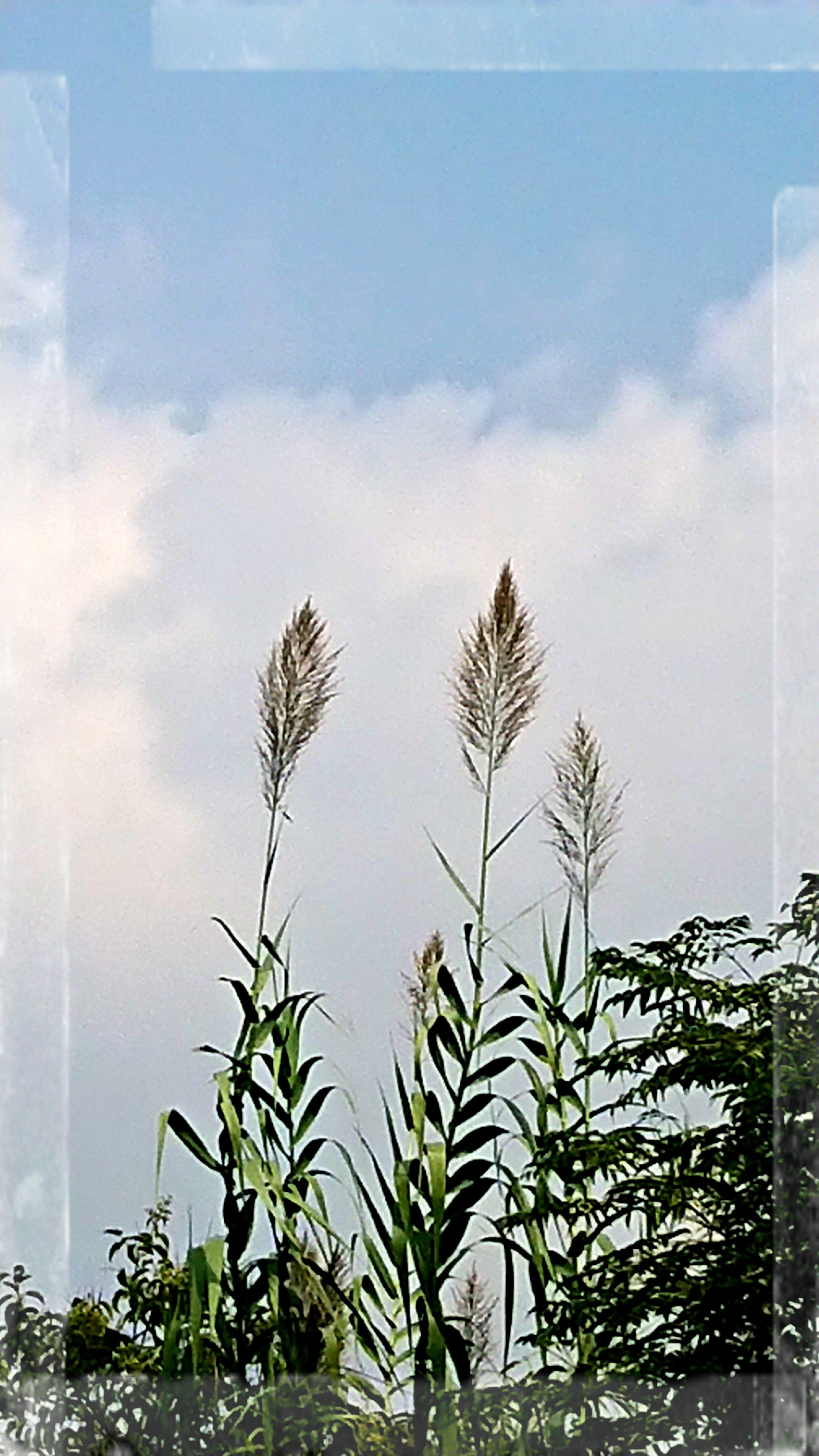 _20191004_121329.JPG