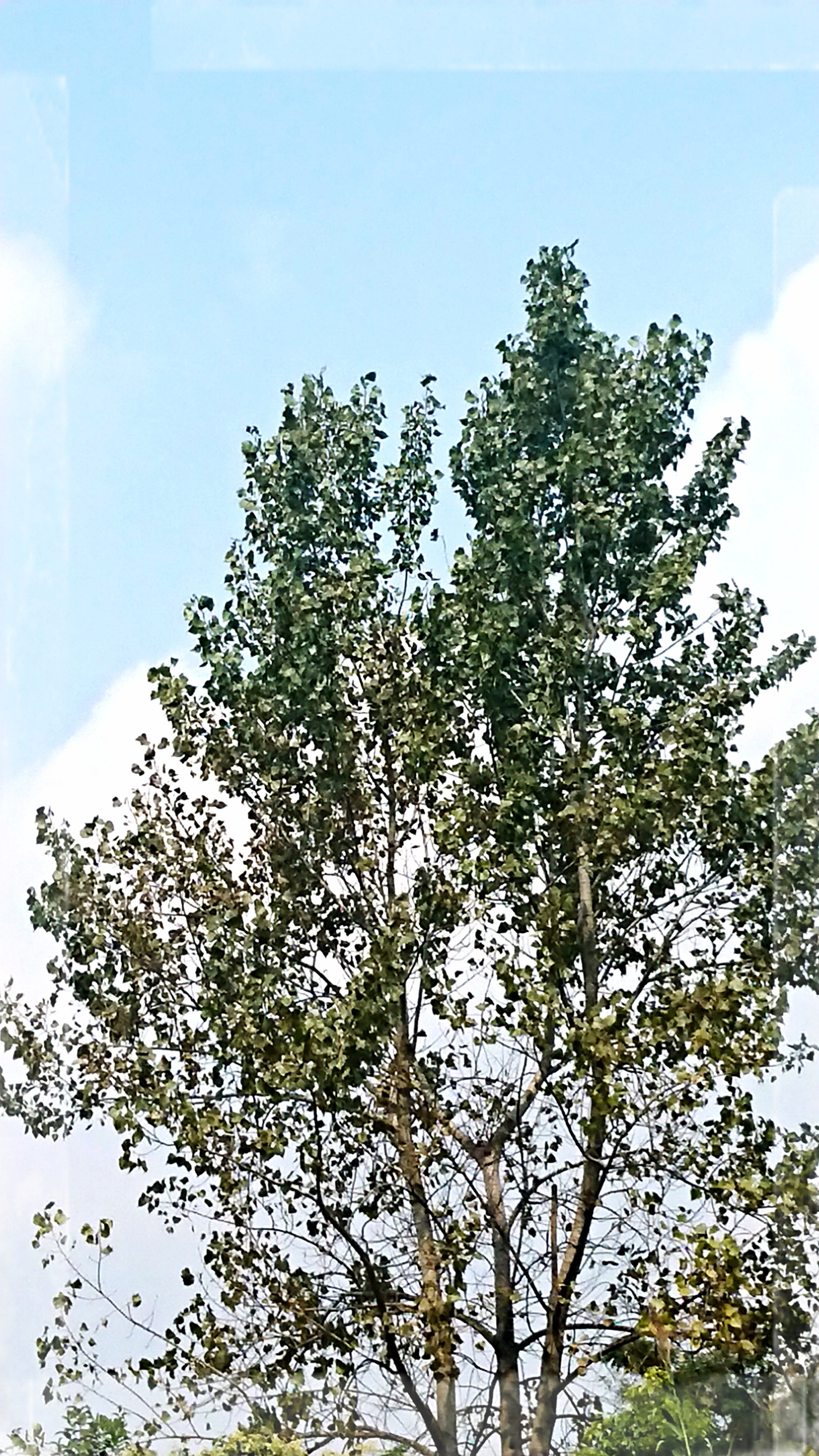 _20191004_121719.JPG
