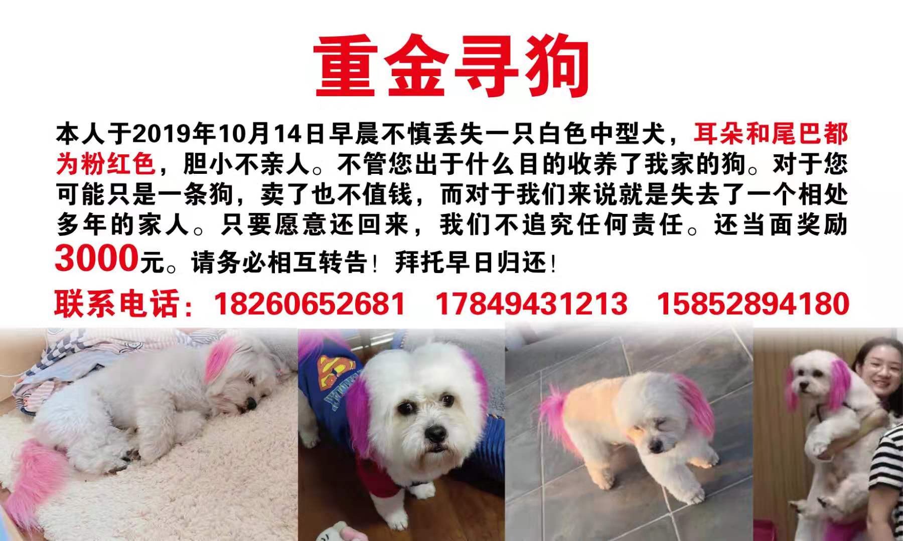 8022900C-6390-40AE-BBE8-B09D23CF8CF9.jpeg