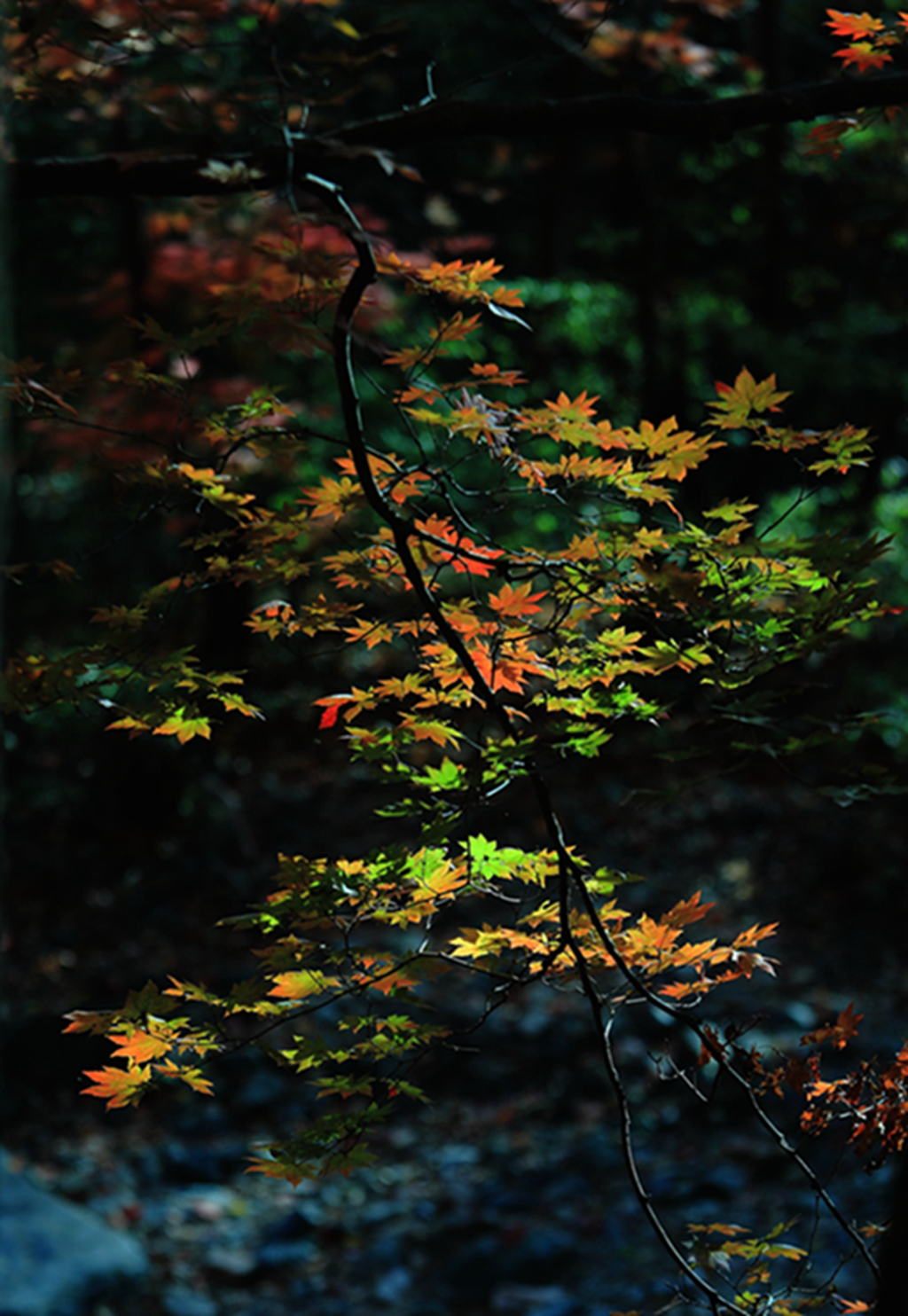 DPP_0027.jpg