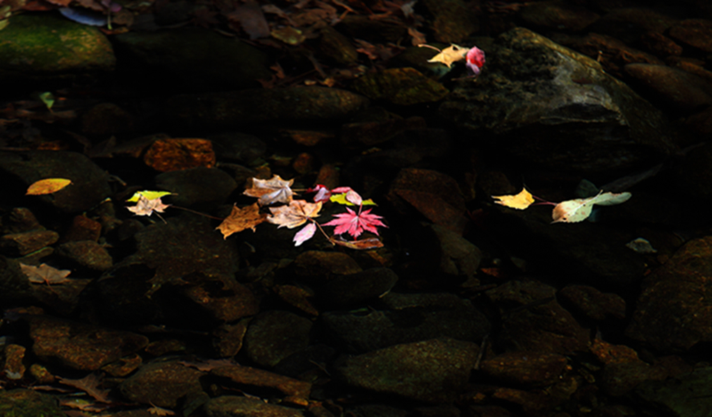 DPP_0032.jpg