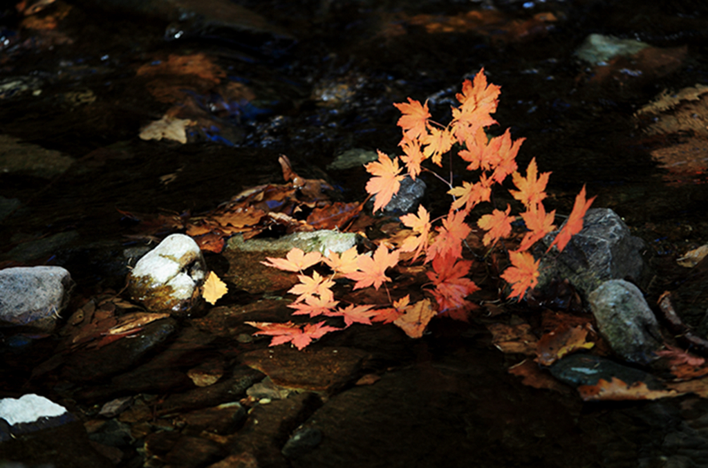 DPP_0035.jpg