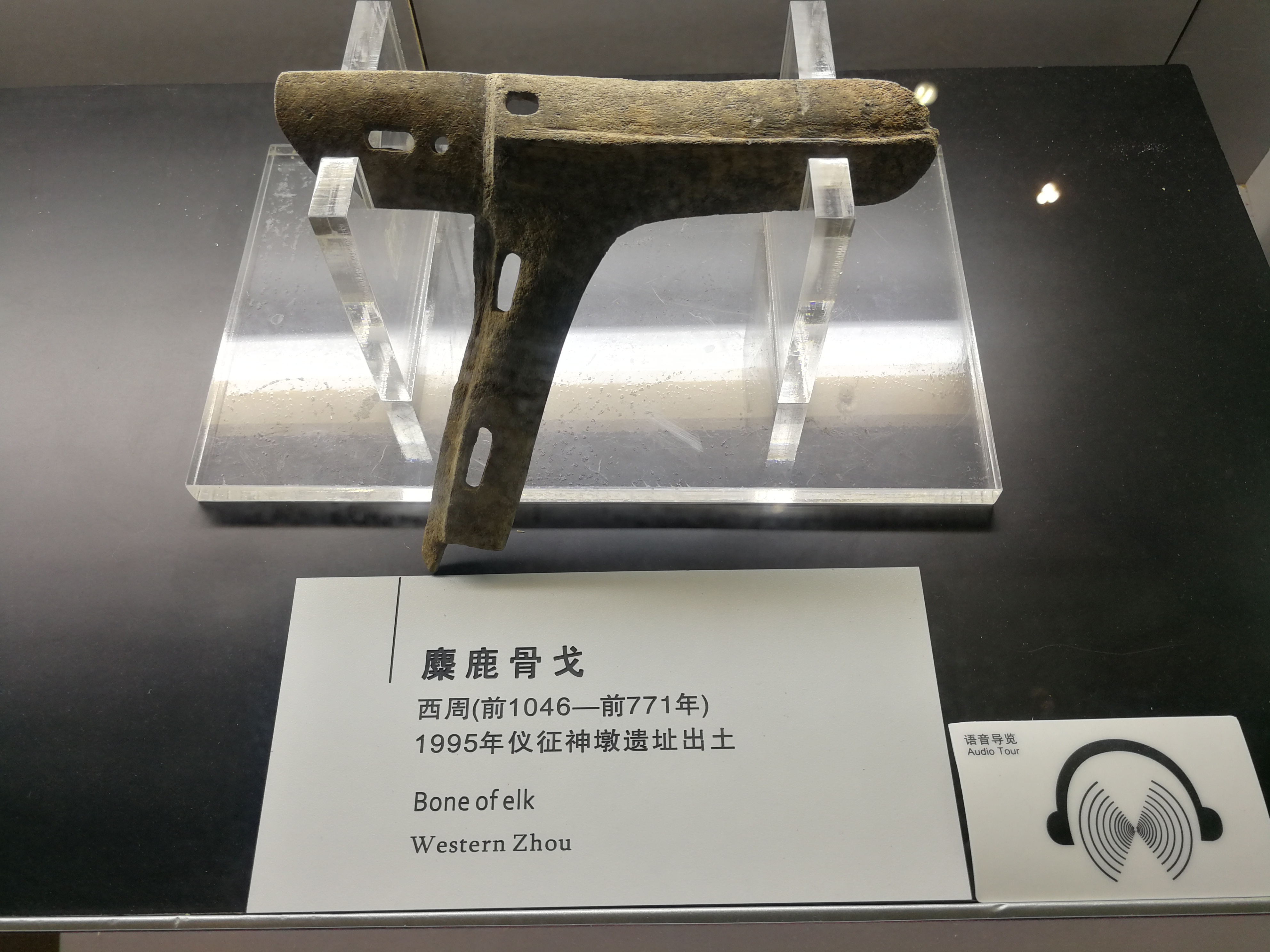神墩麋鹿骨戈.jpg