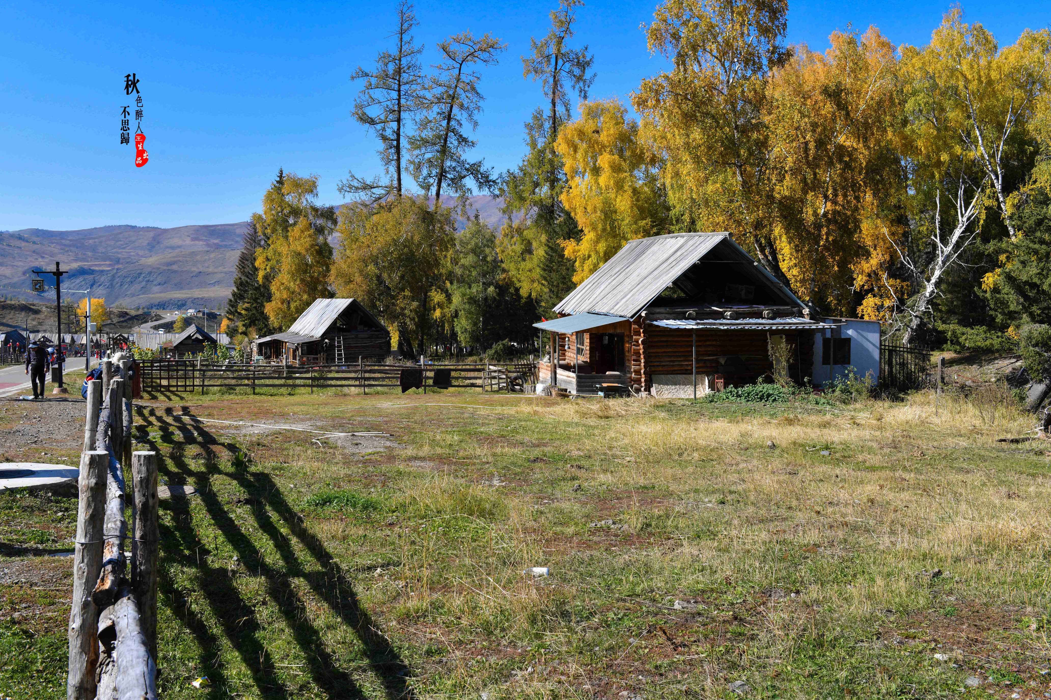 DSC_8859.jpg