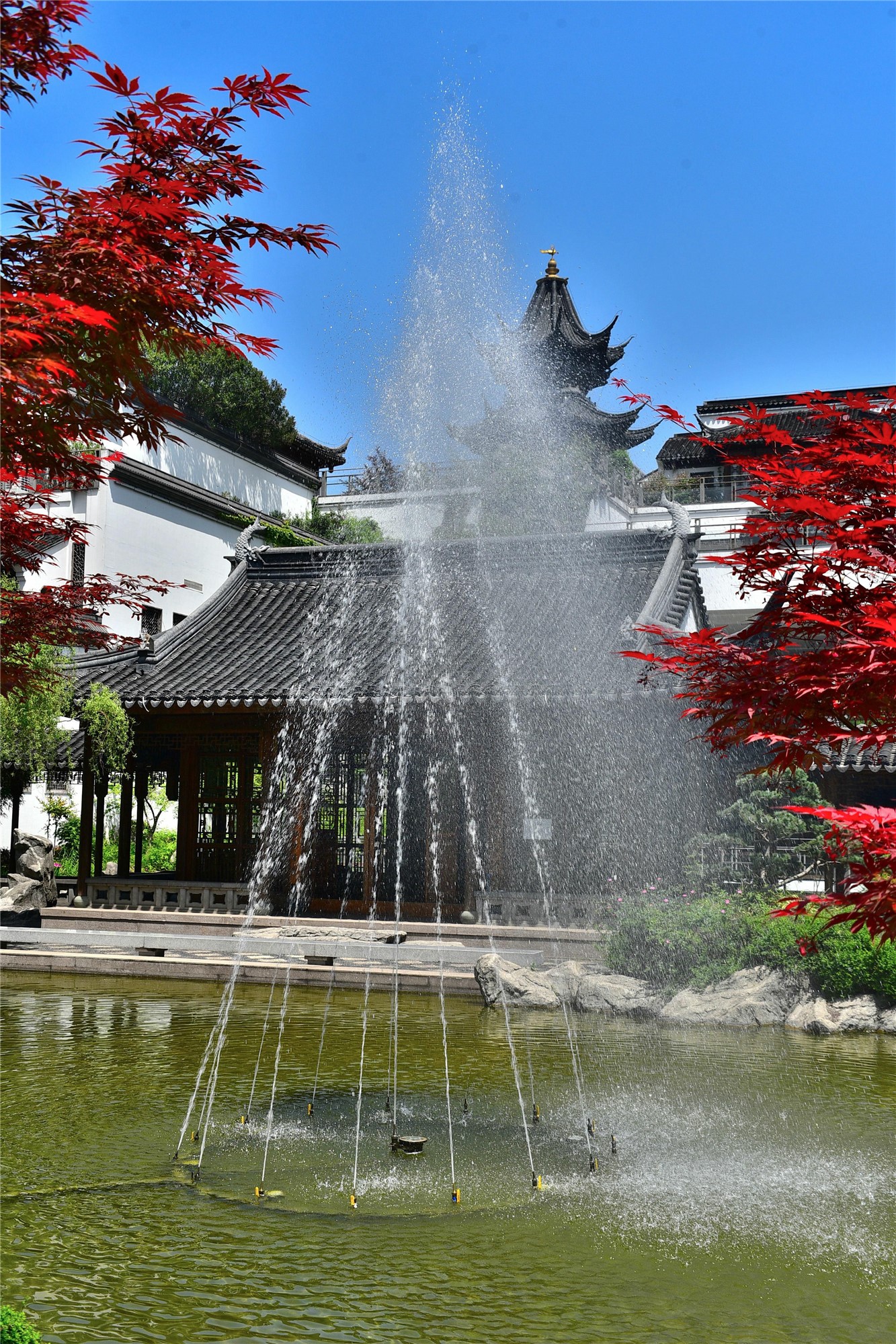 DSC_1573 n_看图王_副本3.jpg