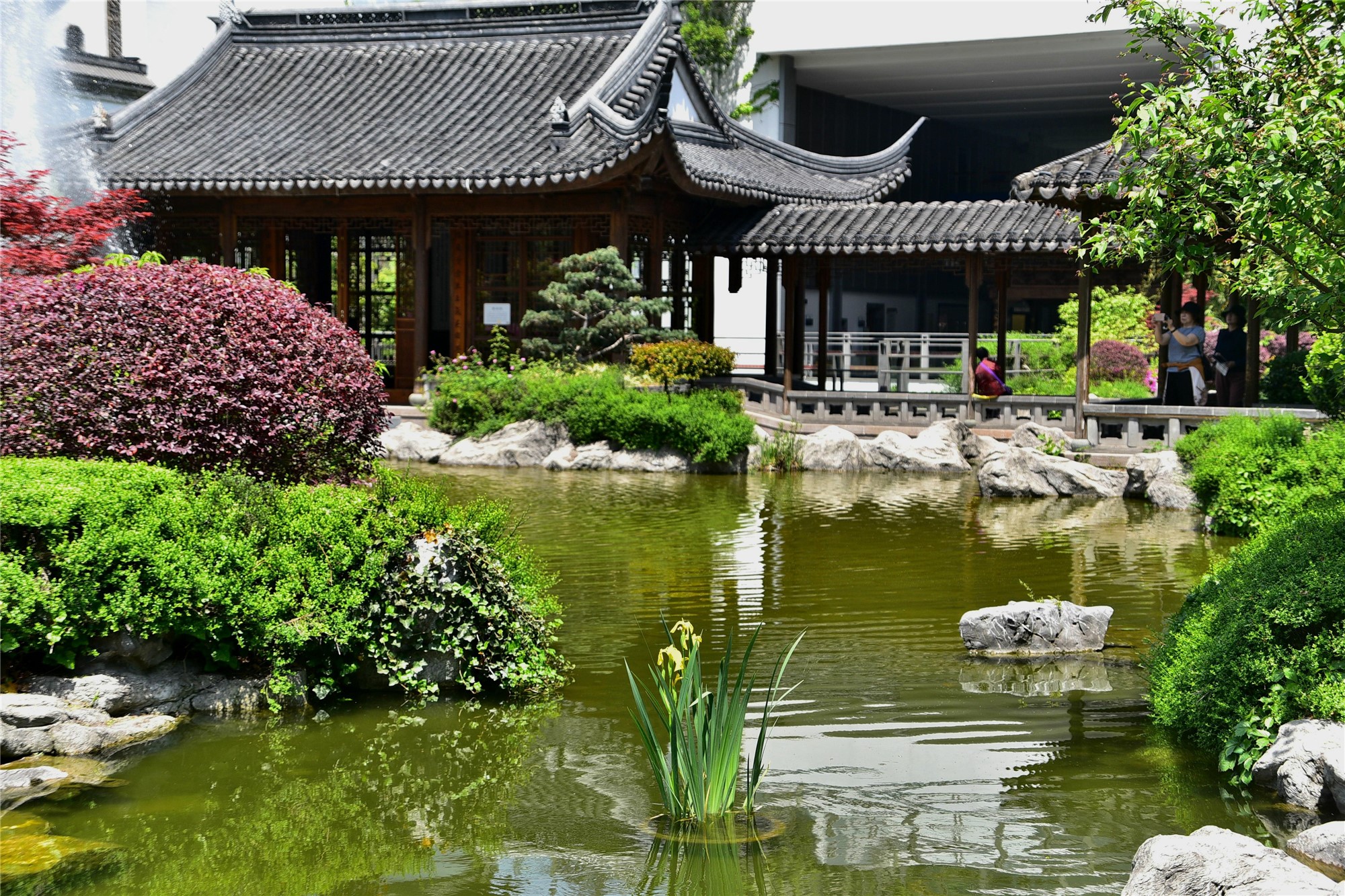 DSC_1583 n_看图王_副本2.jpg