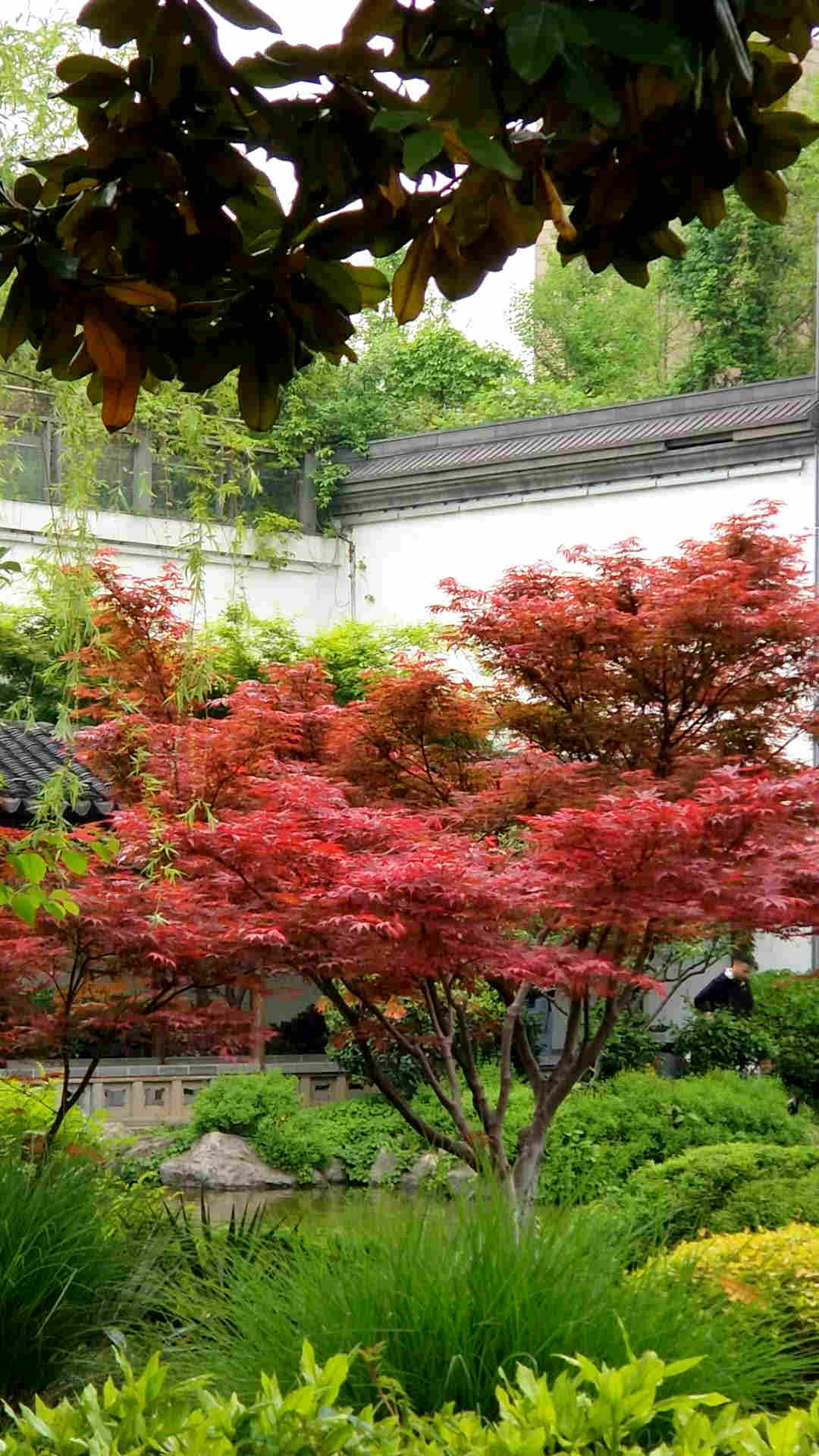 微信图片_20180414194937g.jpg