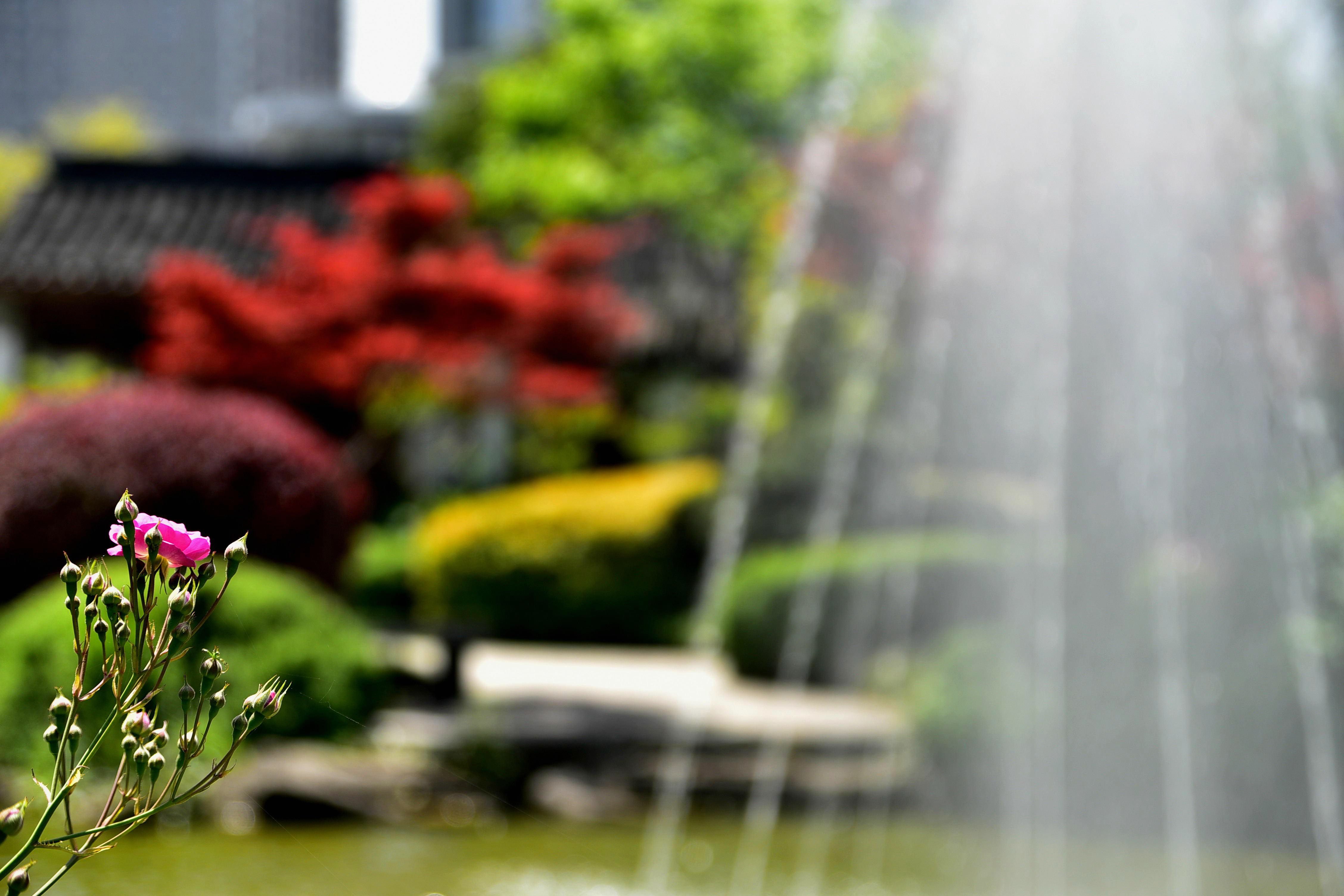 DSC_1560 n_看图王_副本.jpg