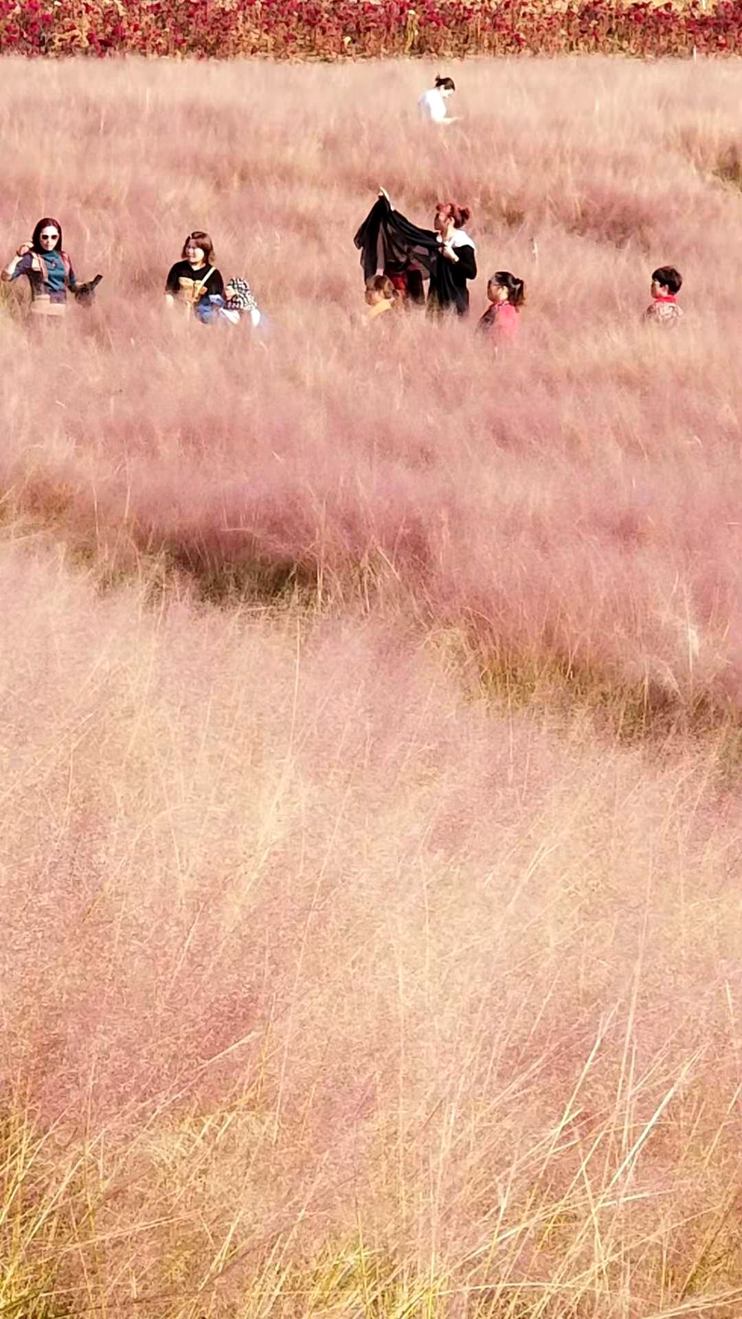 微信图片_20191031071538_副本.jpg