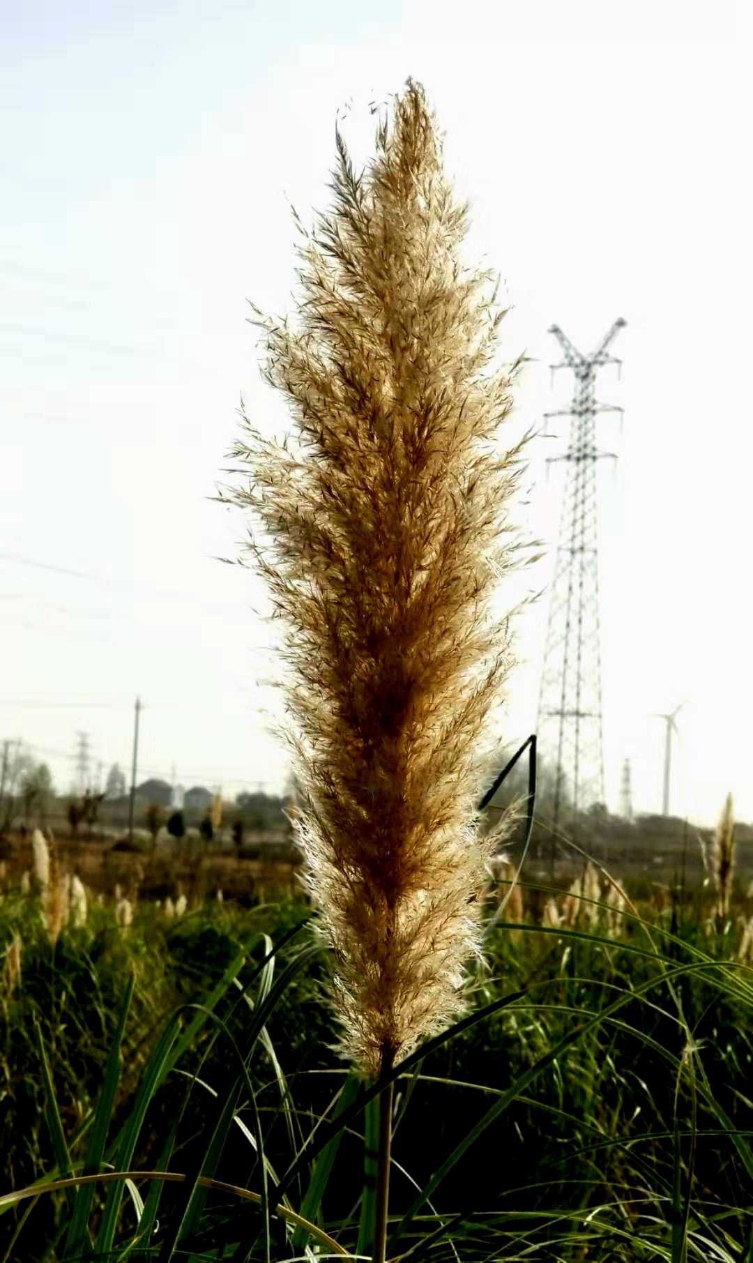 微信图片_20191101162740_副本.jpg