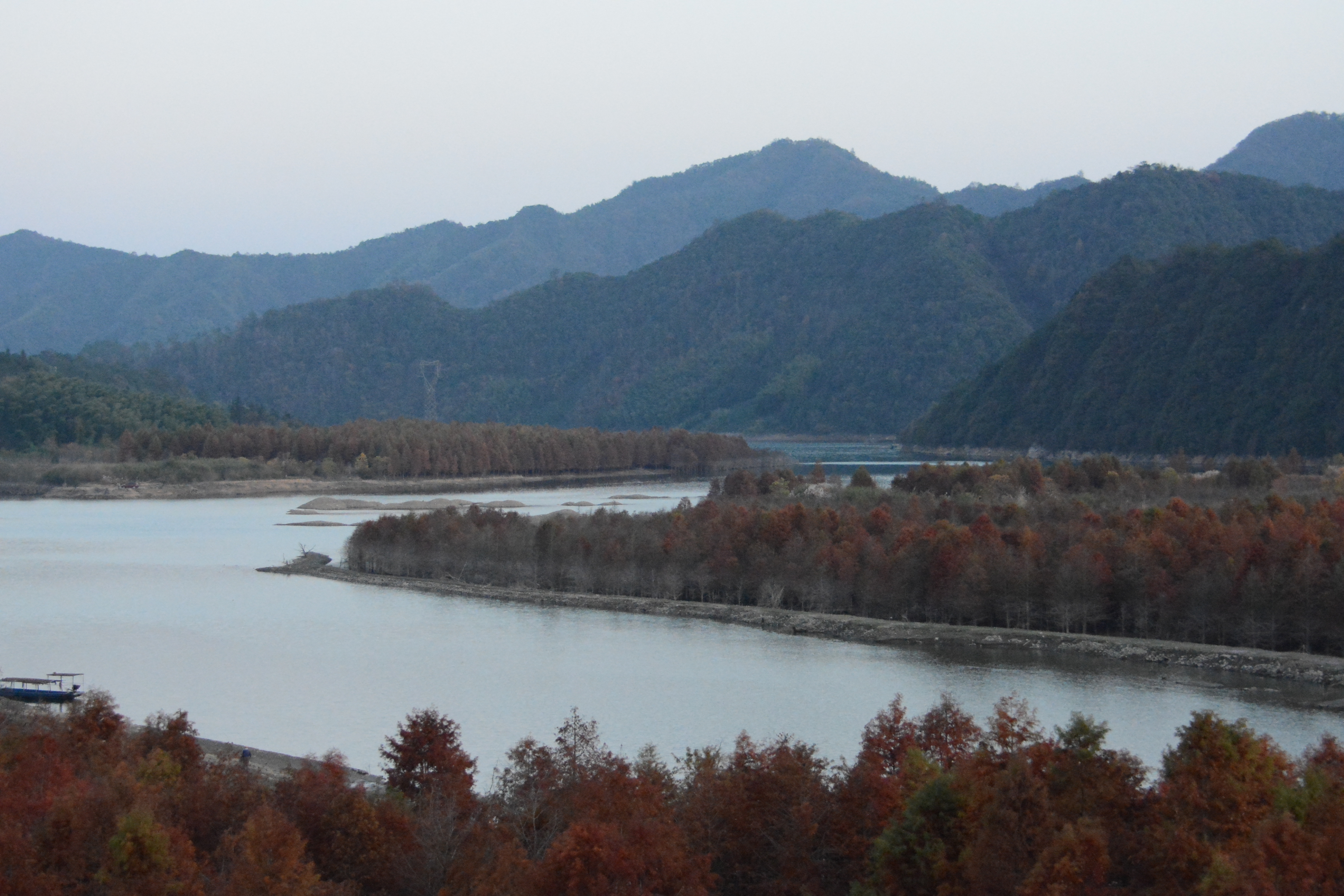 DSC_8105.JPG