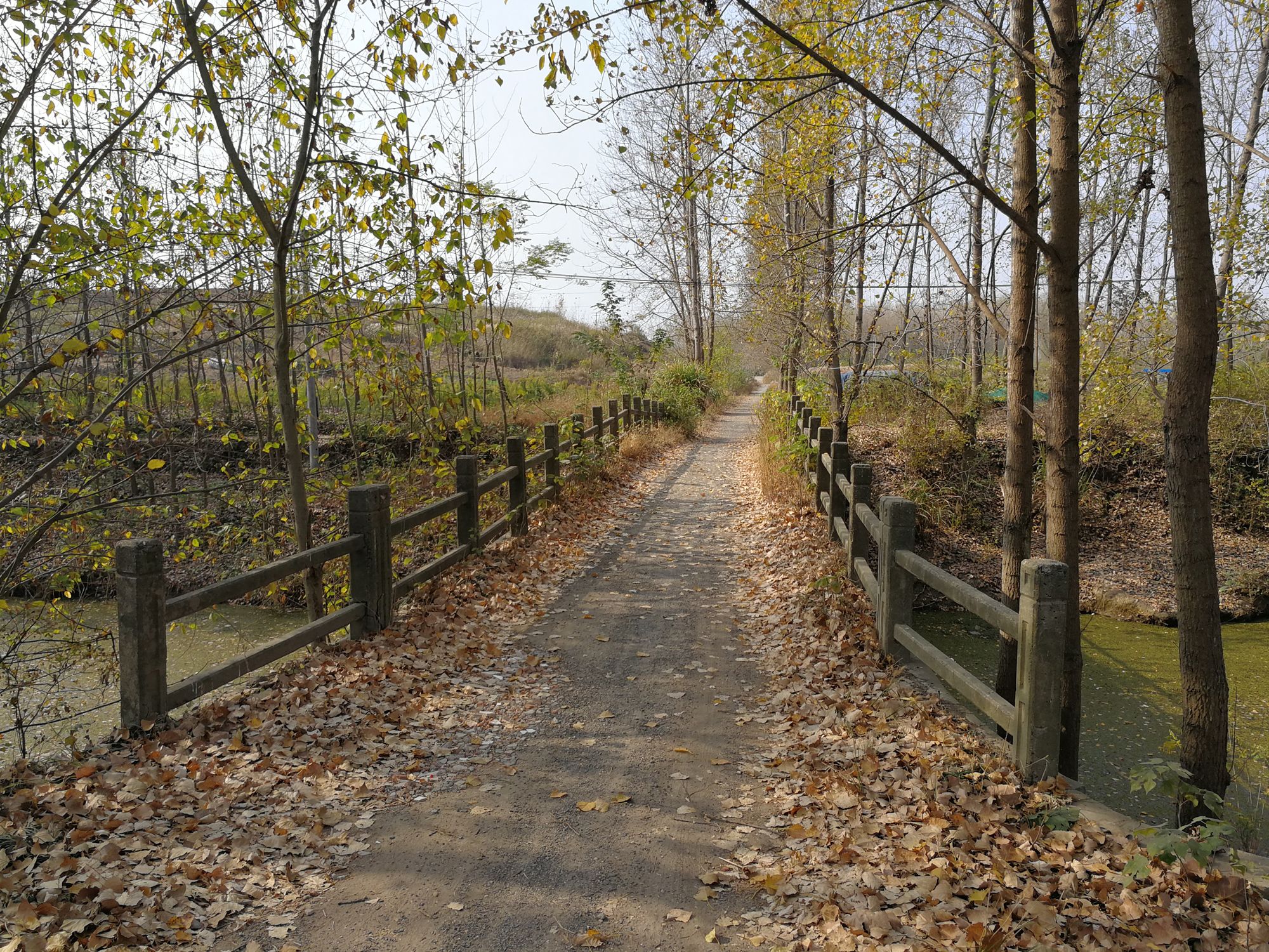 马坝河.jpg