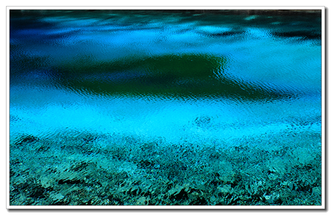 DPP_0019.jpg