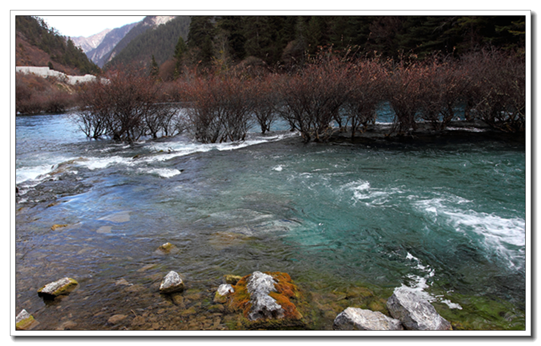 DPP_0014.jpg